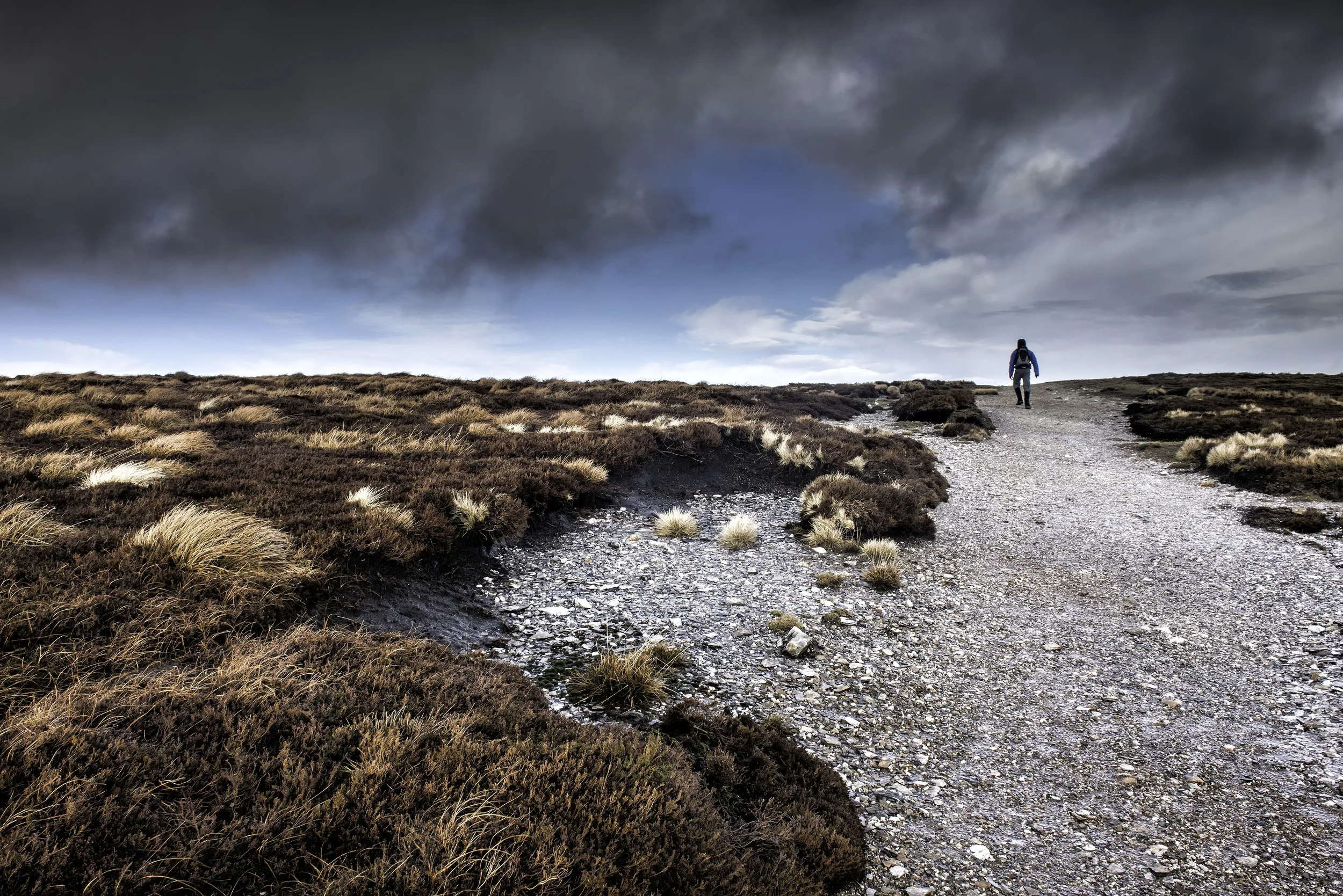 Walk that barren land