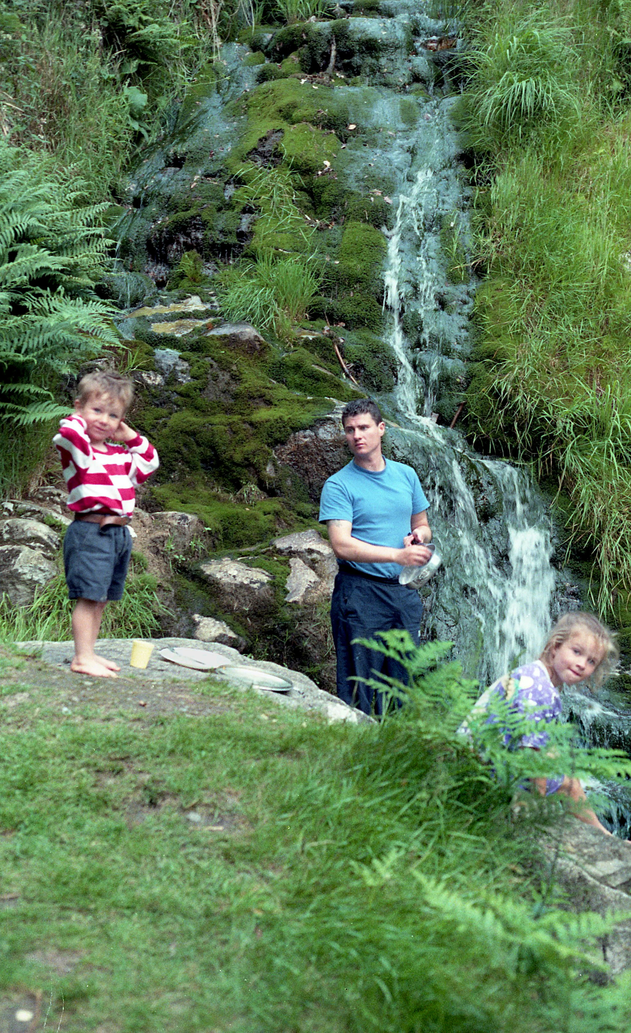 img321.jpg