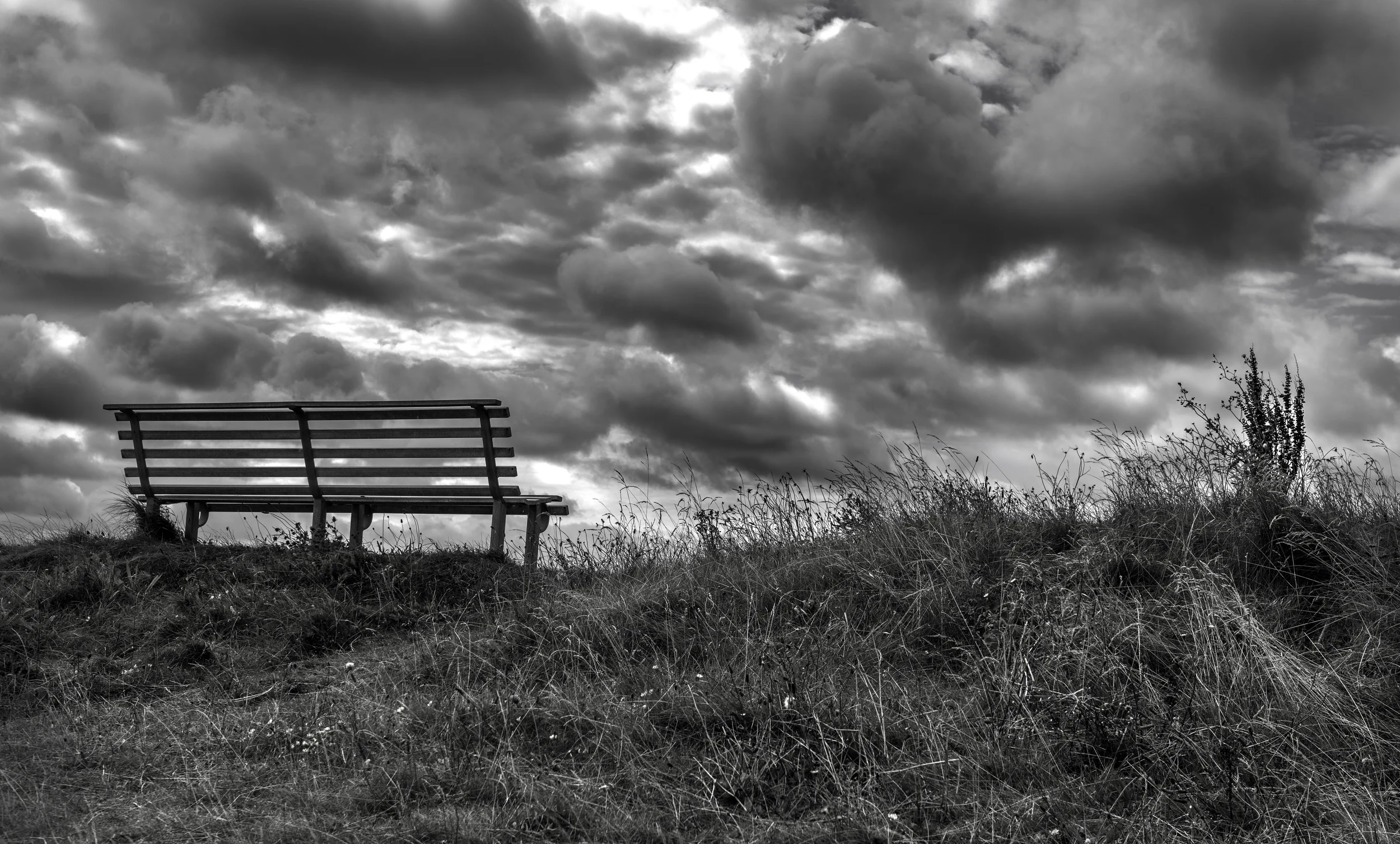 DSC_3317-Editcep.jpg