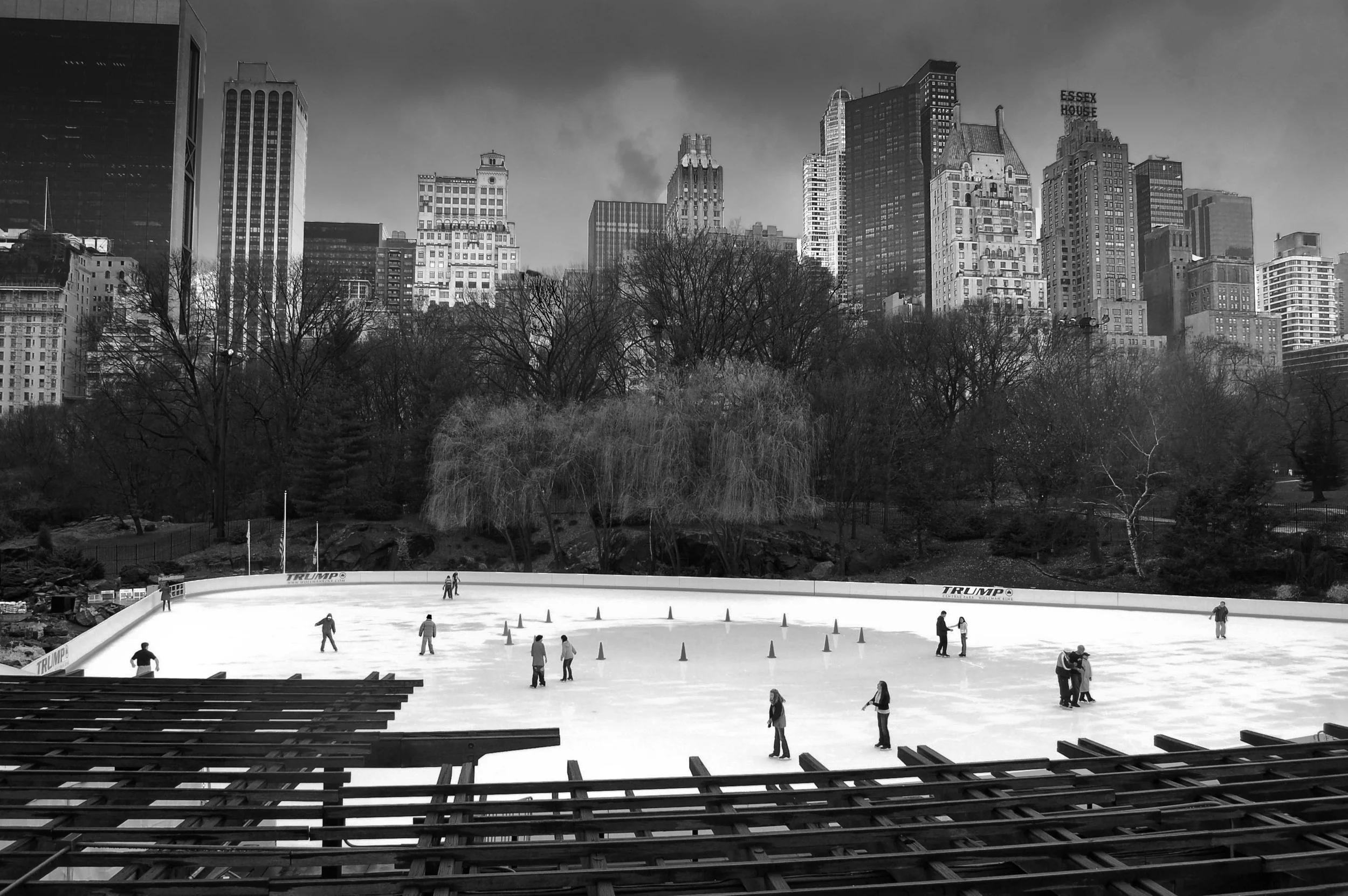 DSC_02937y-Edit-Edit.jpg