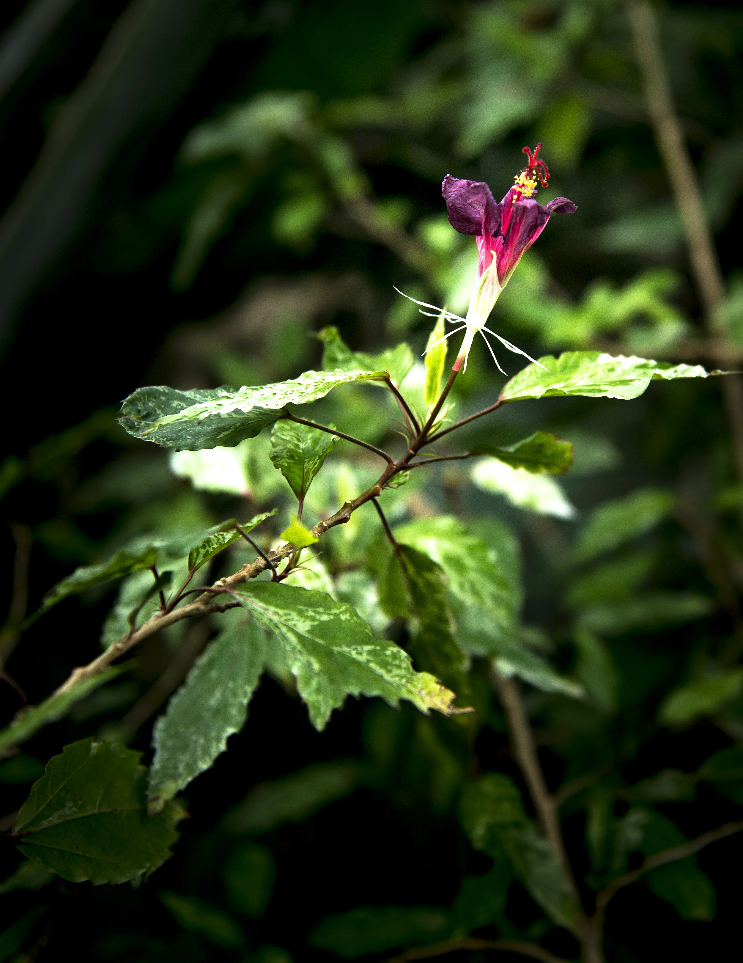 DSC_6123.jpg