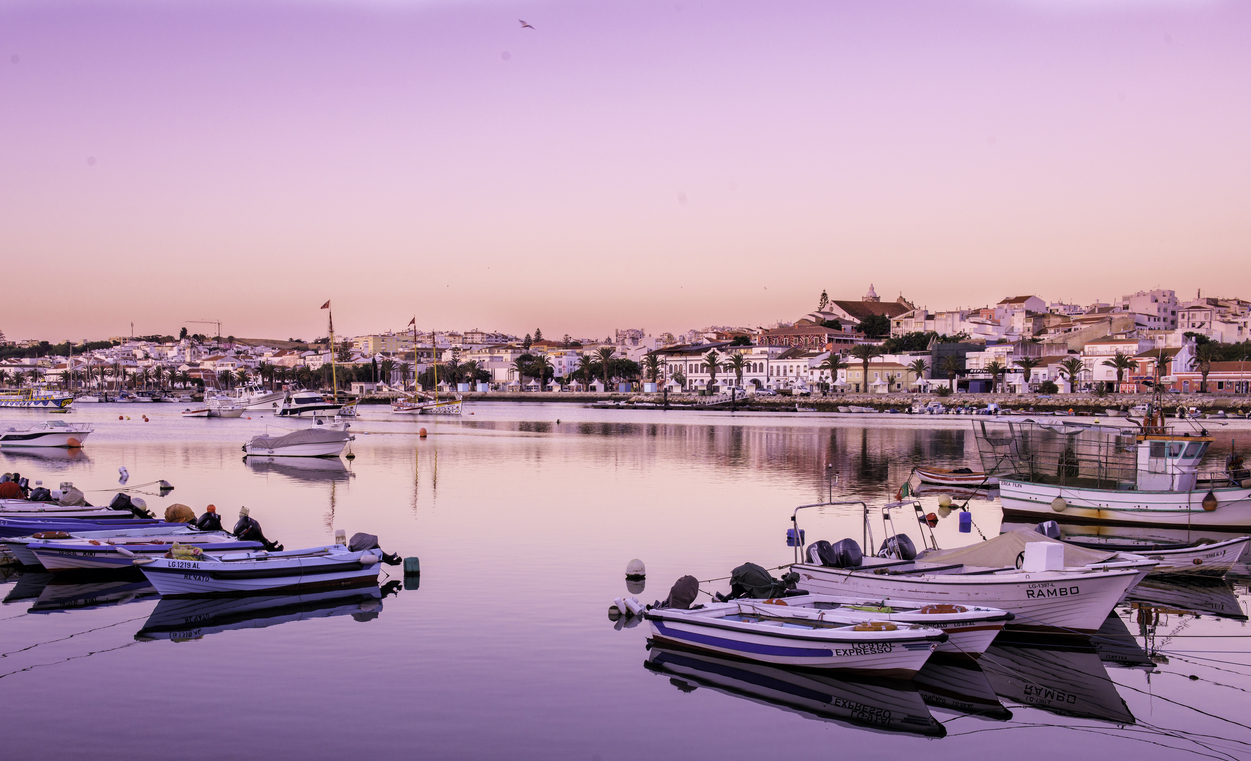 Sleepy harbour
