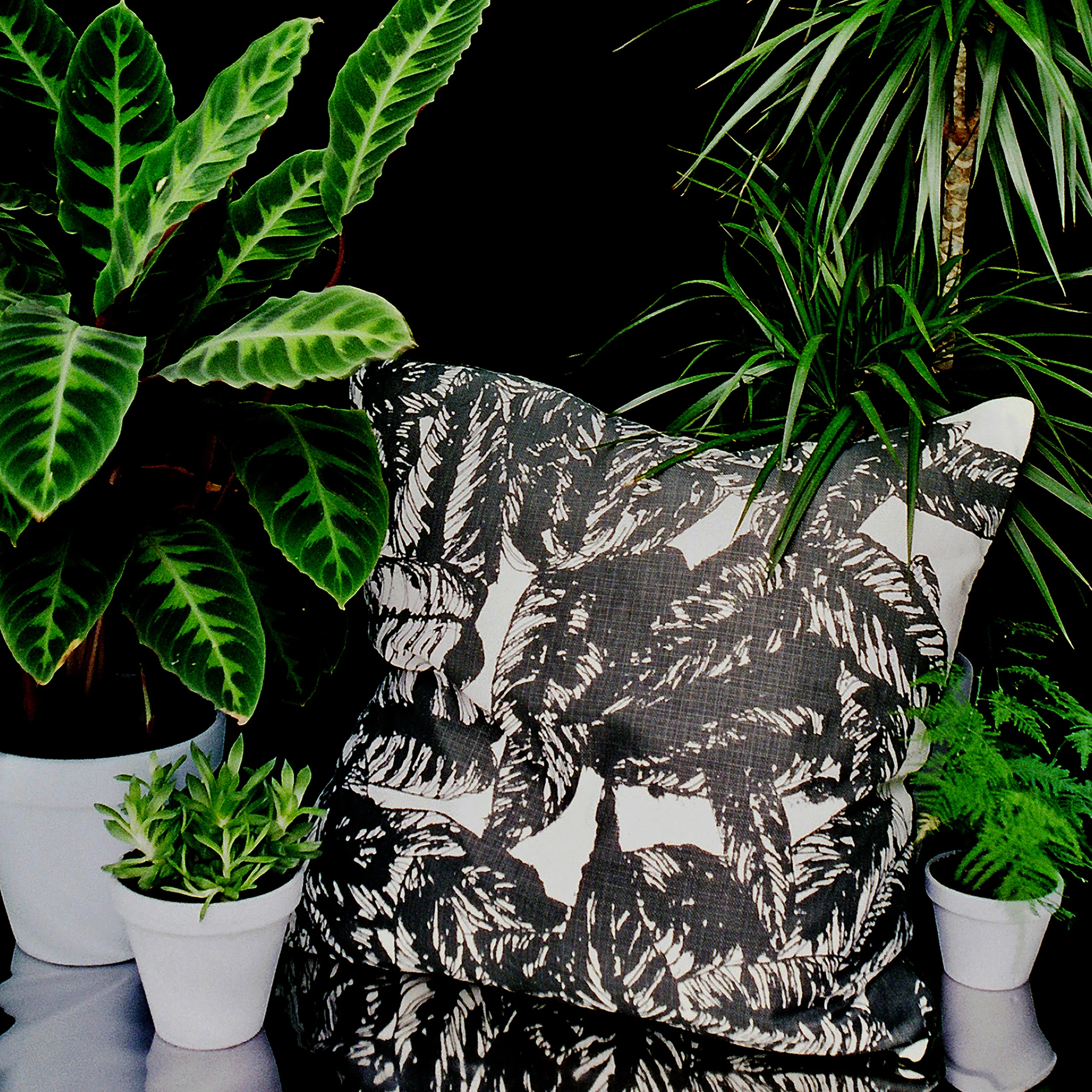 Tropical Print Cushion Calathea Large