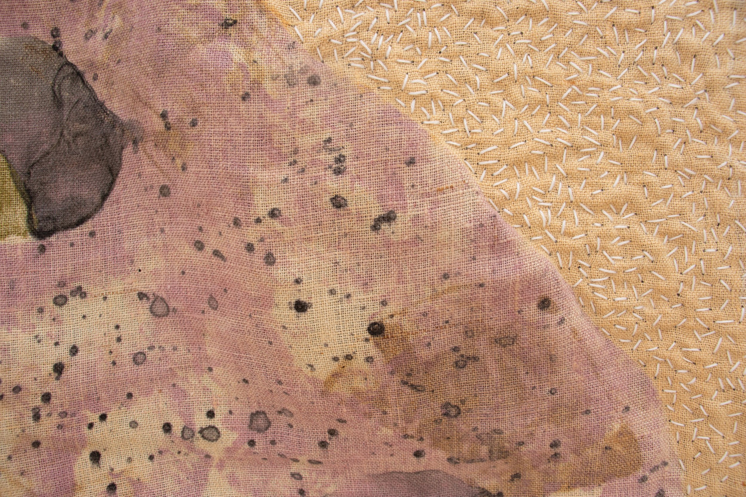 HAGSTONE AND SHELL DETAIL 3.jpg
