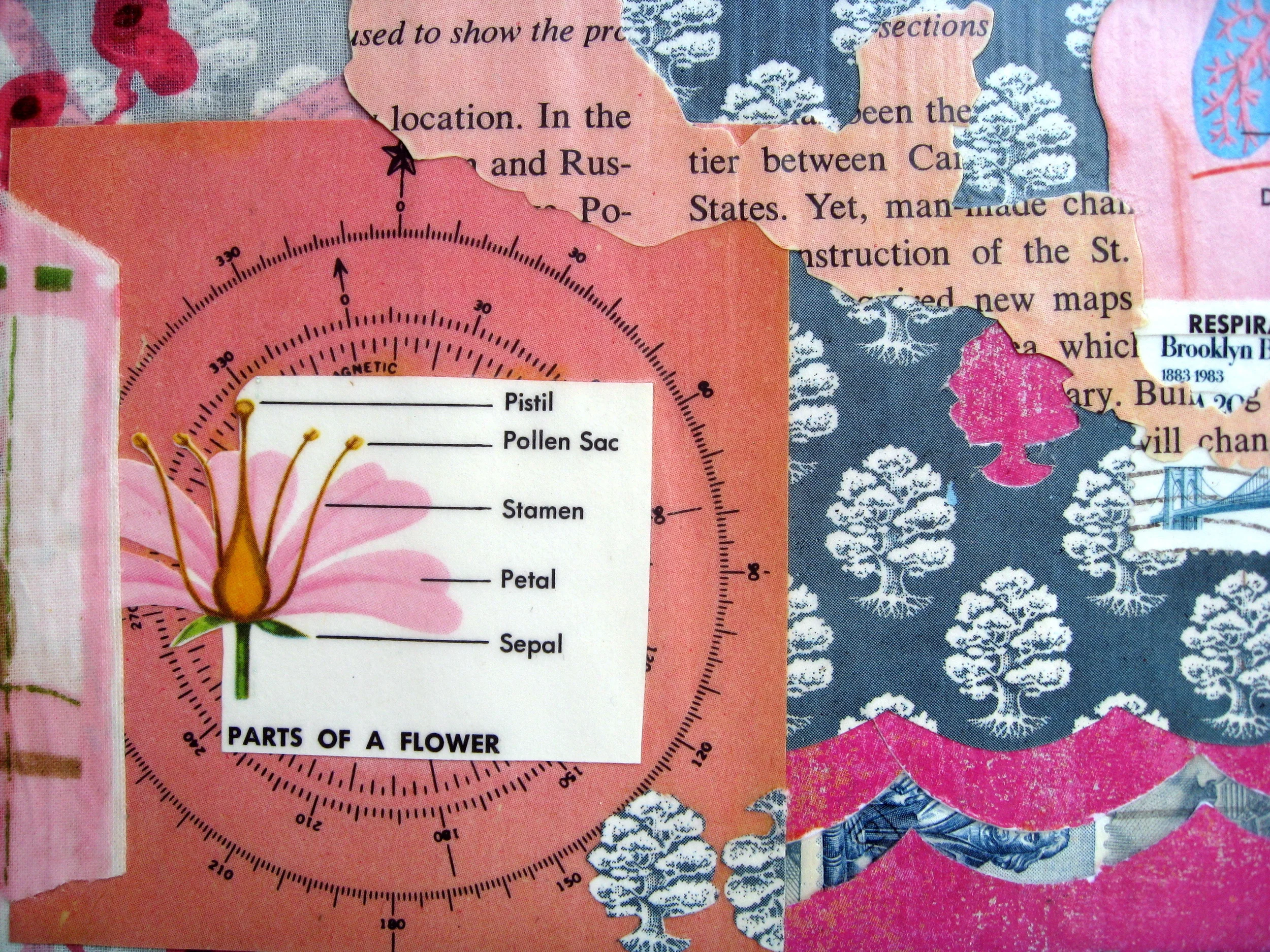 Niccole's collage, detail. 2009