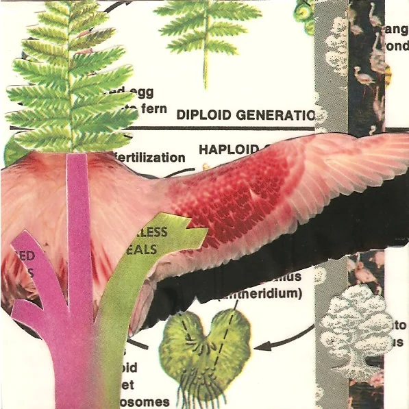 One in a series of 3"x3" collages I created in summer 2012. They were part of a collaborative project for artist student Rose Wong .