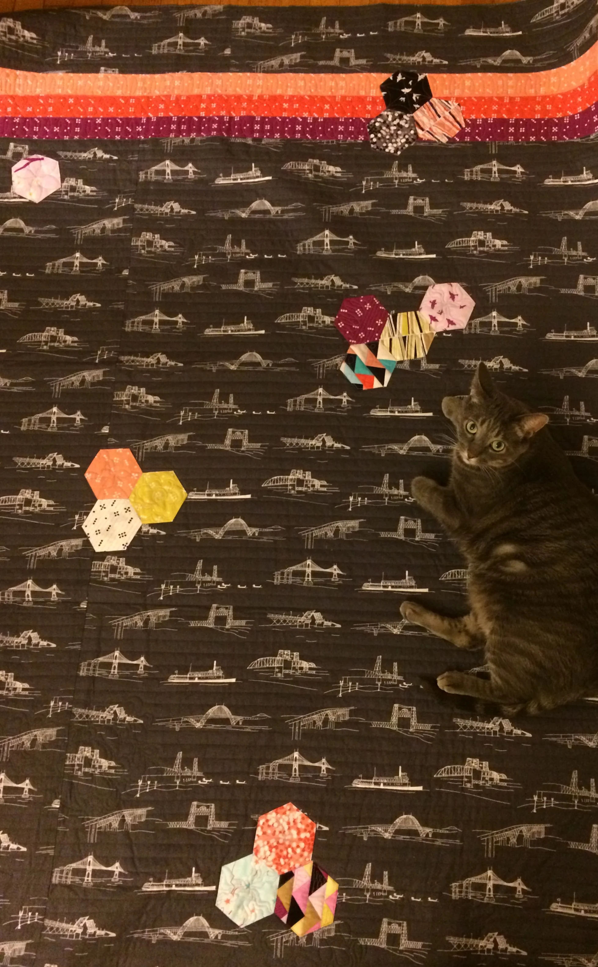 Lupin blends in to this grey fabric!