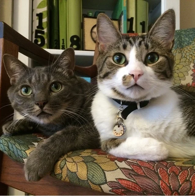 And here are the two knuckleheads who started the whole thing... Lupin and Sirius. 