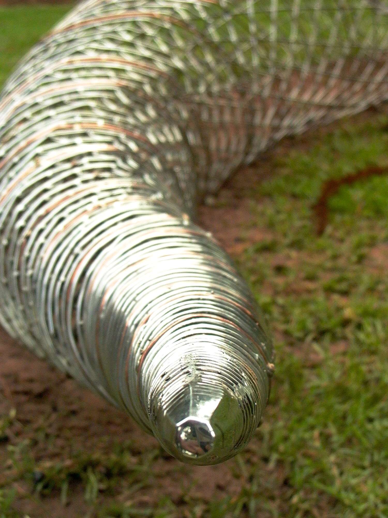 The Monkey Puzzle Trap - detail