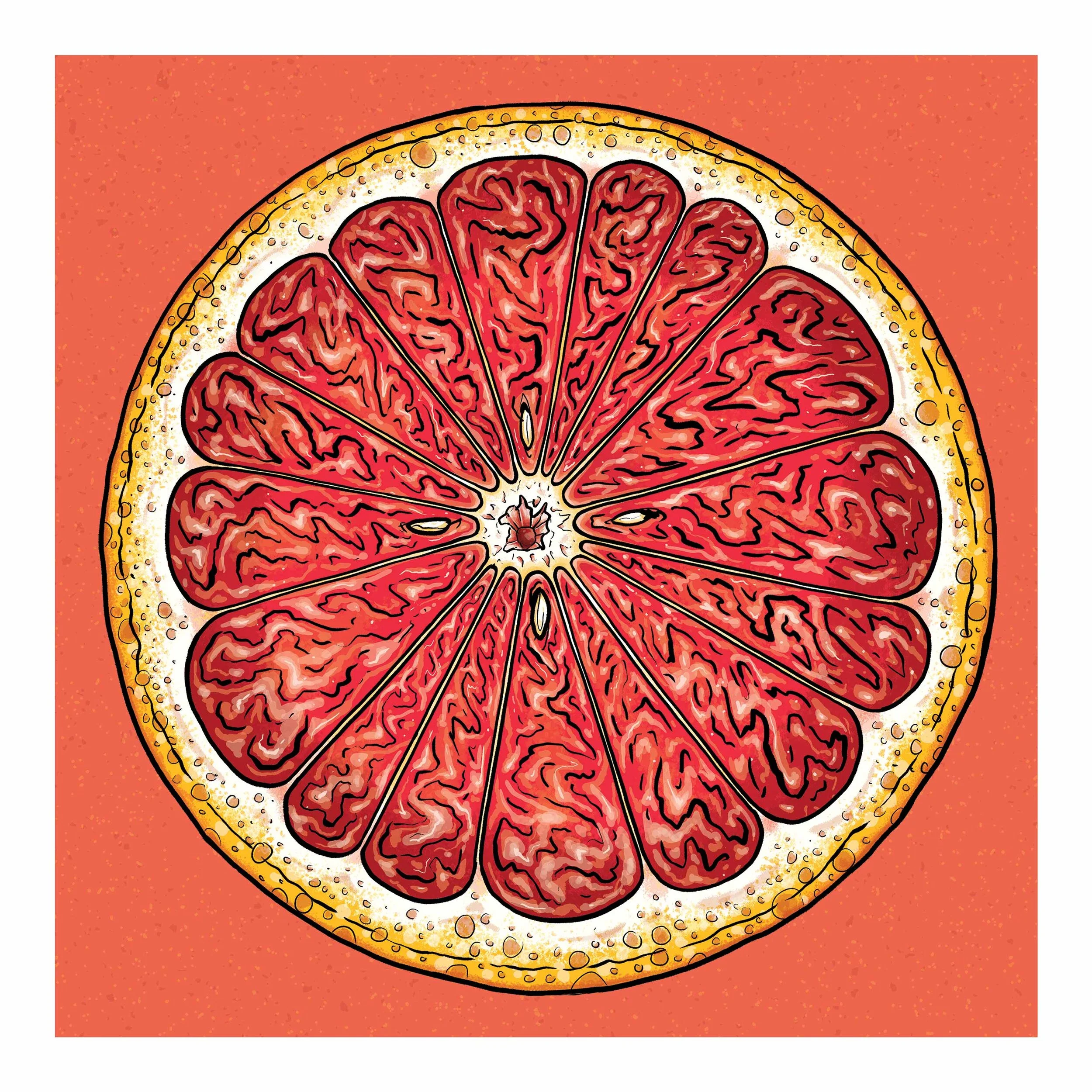 Grapefruit-23x23.jpg