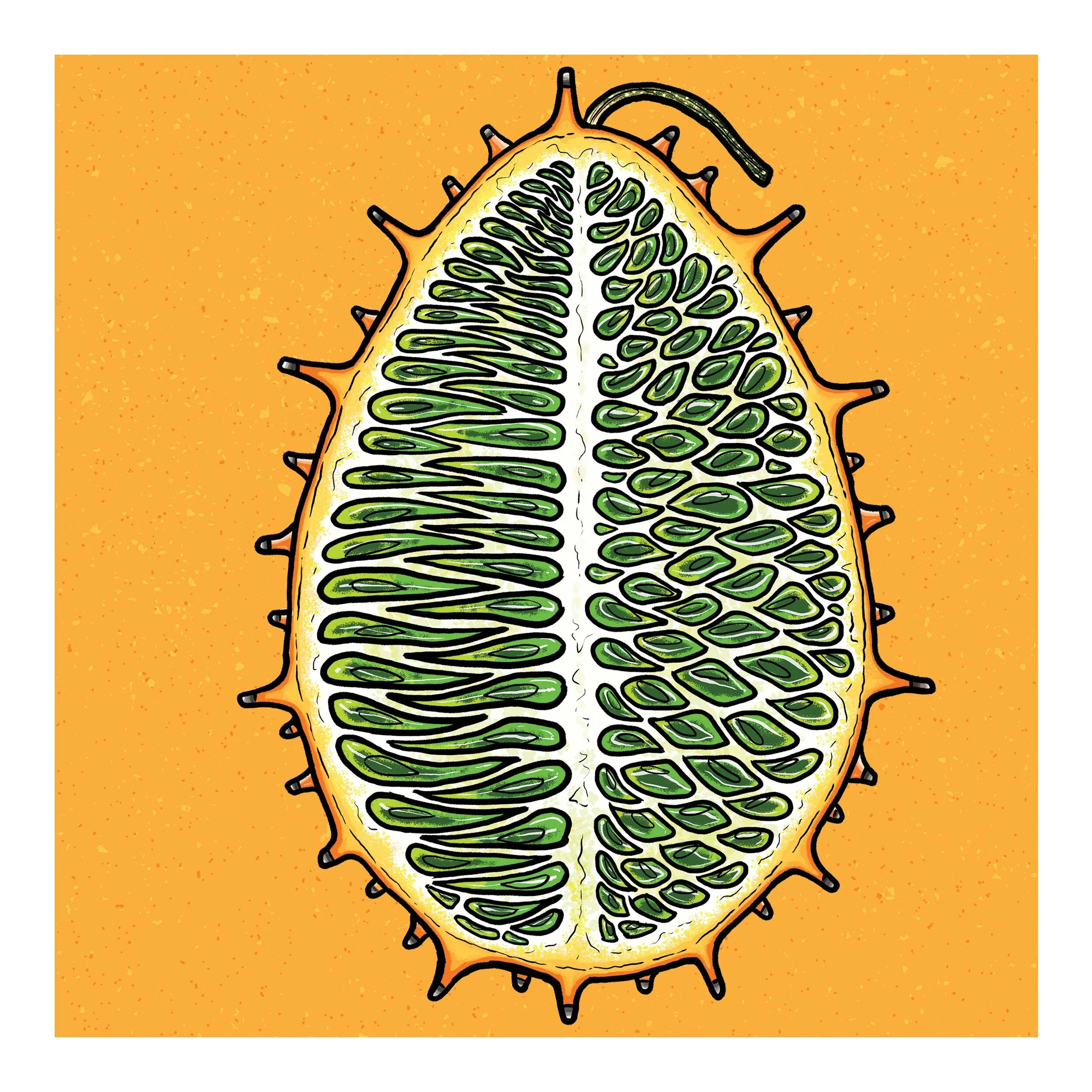 Kiwano-23x23.jpg