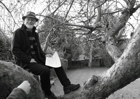 Steve Griffiths. In a tree.