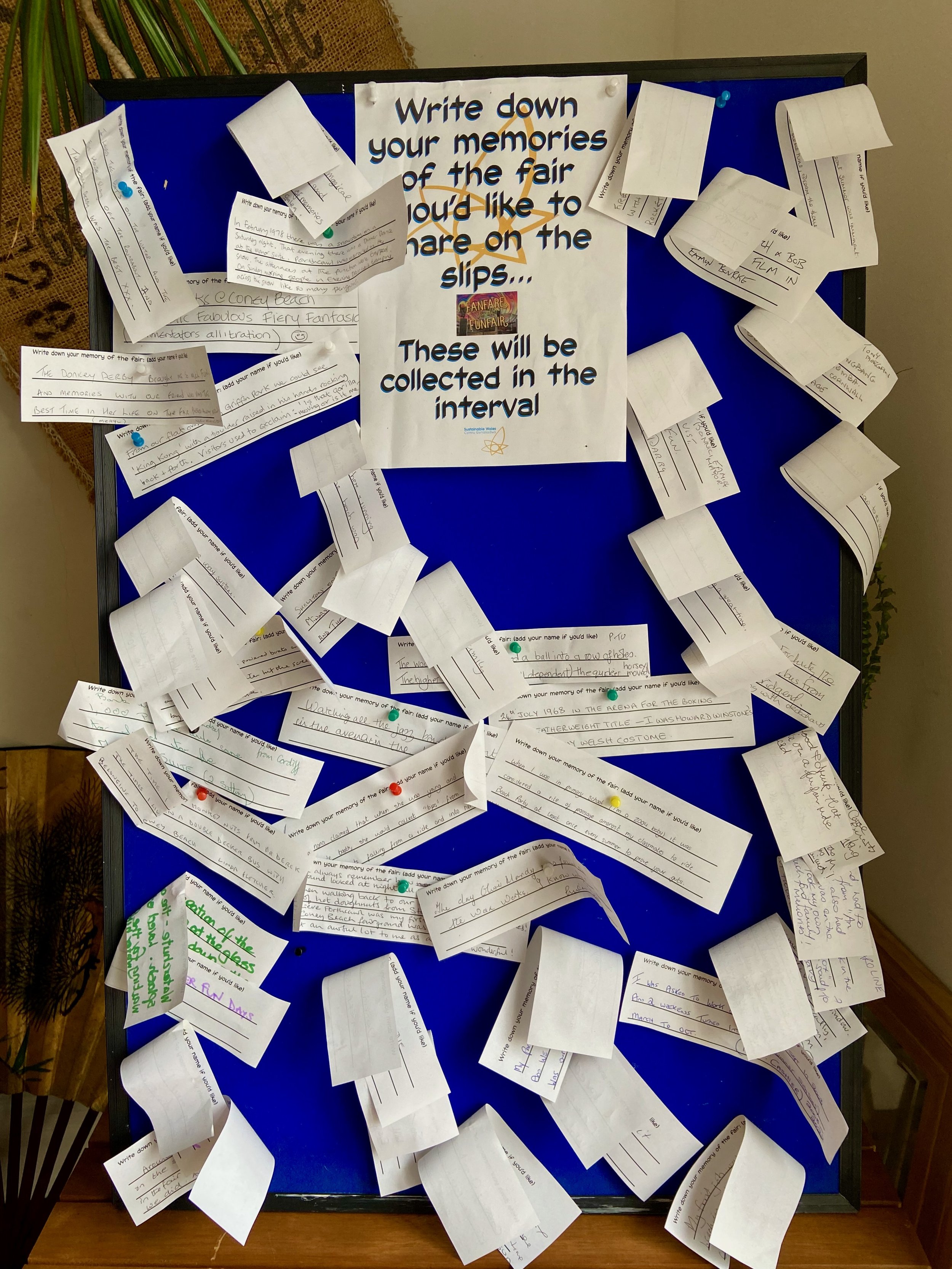 Memory Board IMG_9997.jpeg