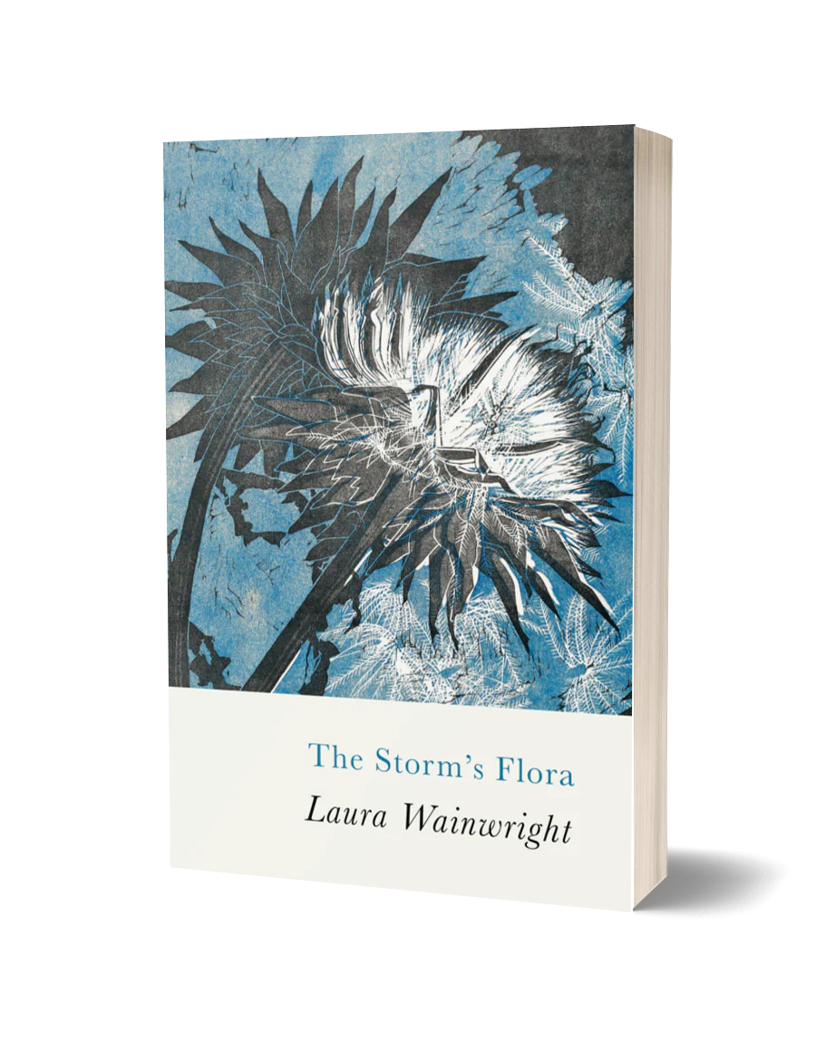 Wales Book of the Year poetry prize - Laura wainwright