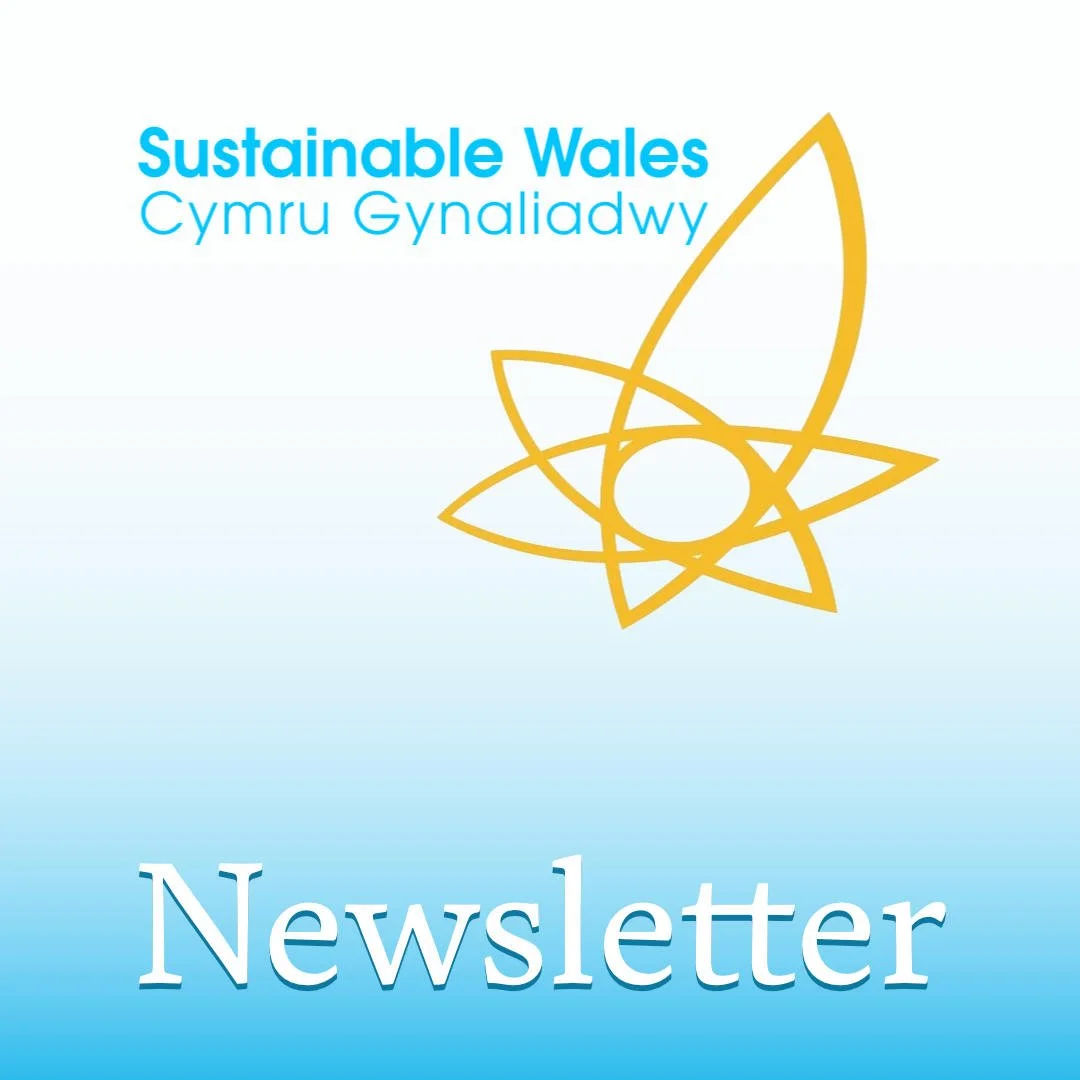 Newsletter page icon