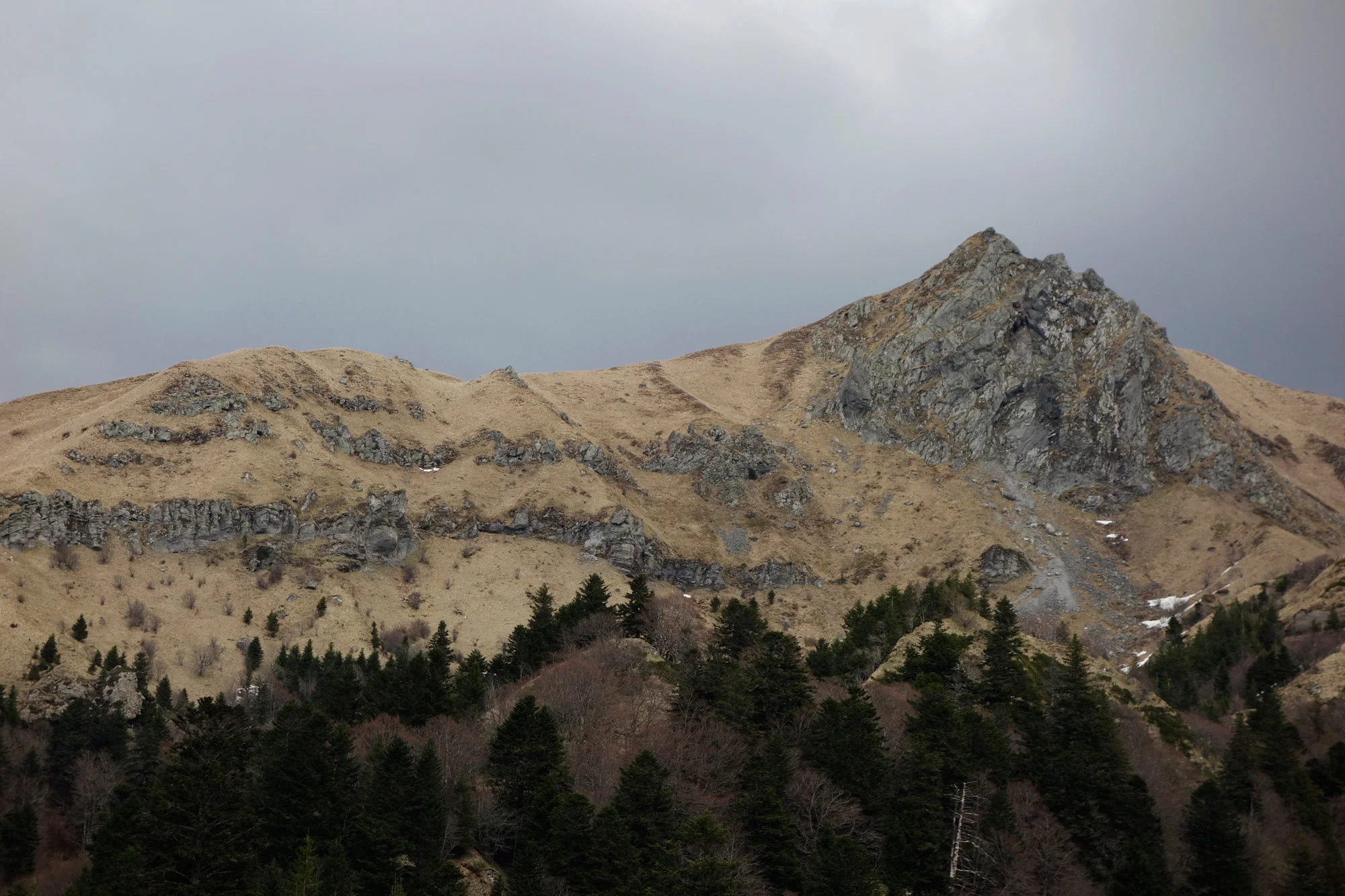 _DSC5630.jpg