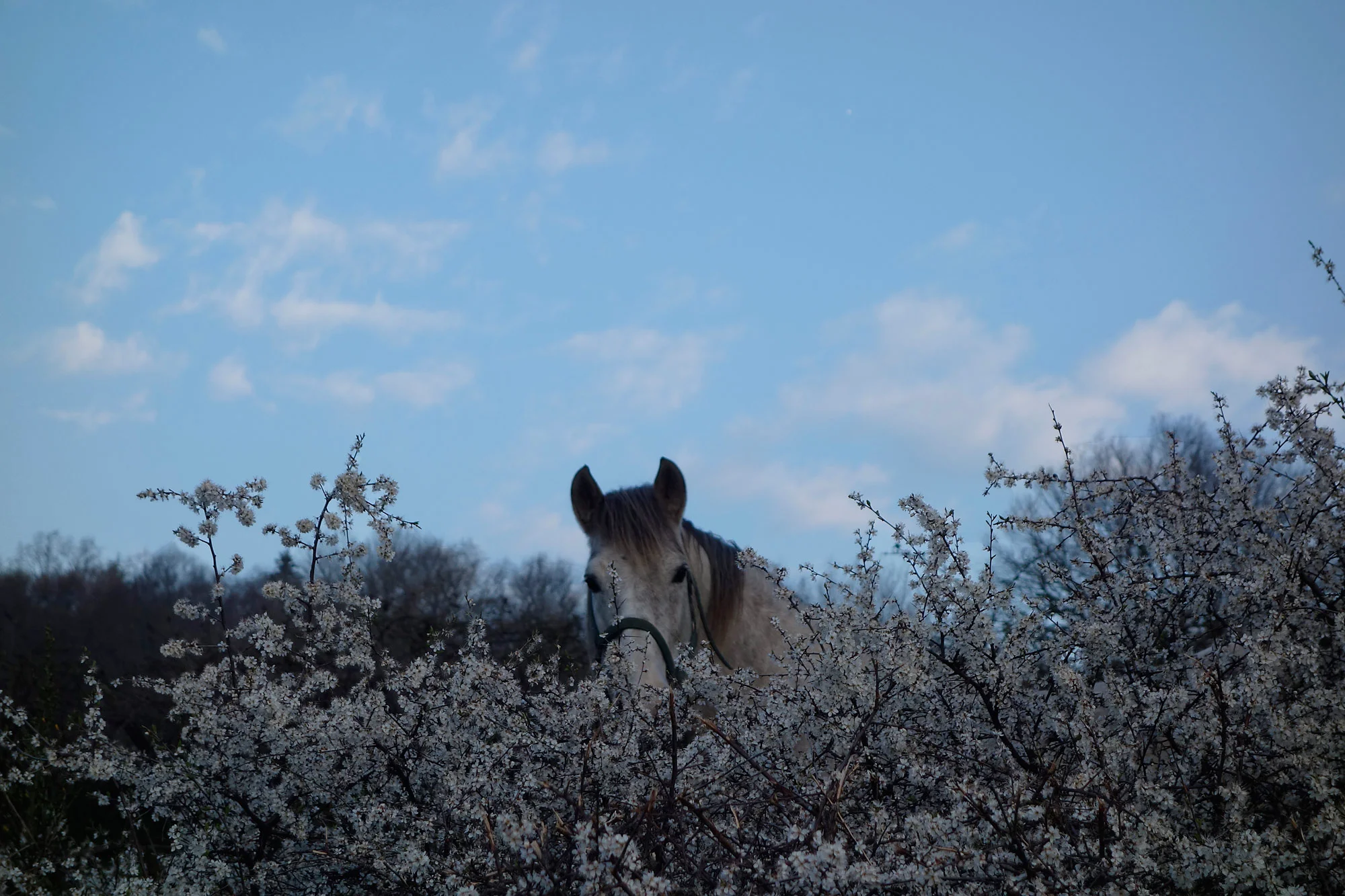 _DSC5869.jpg
