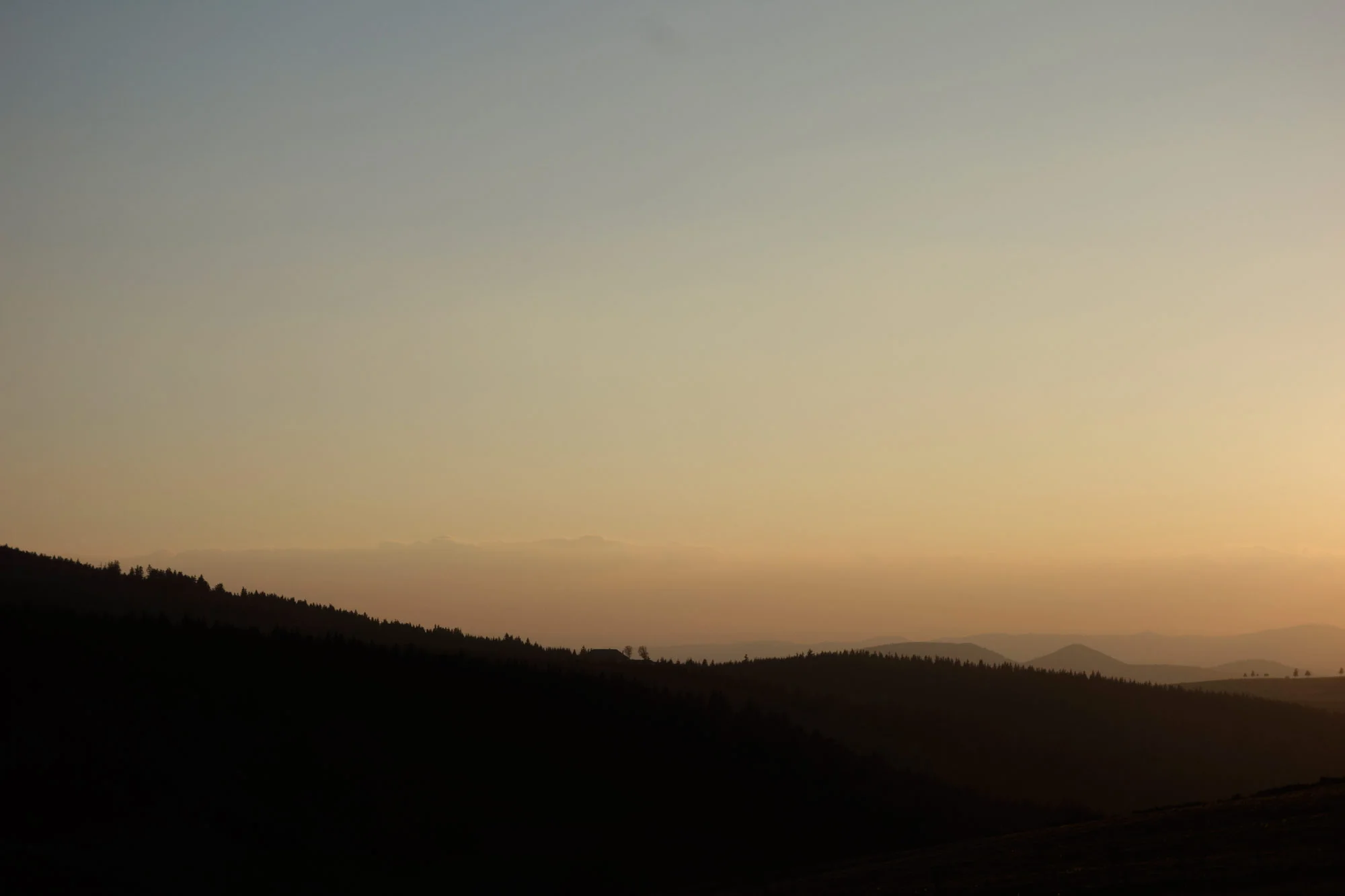 _DSC6035.jpg