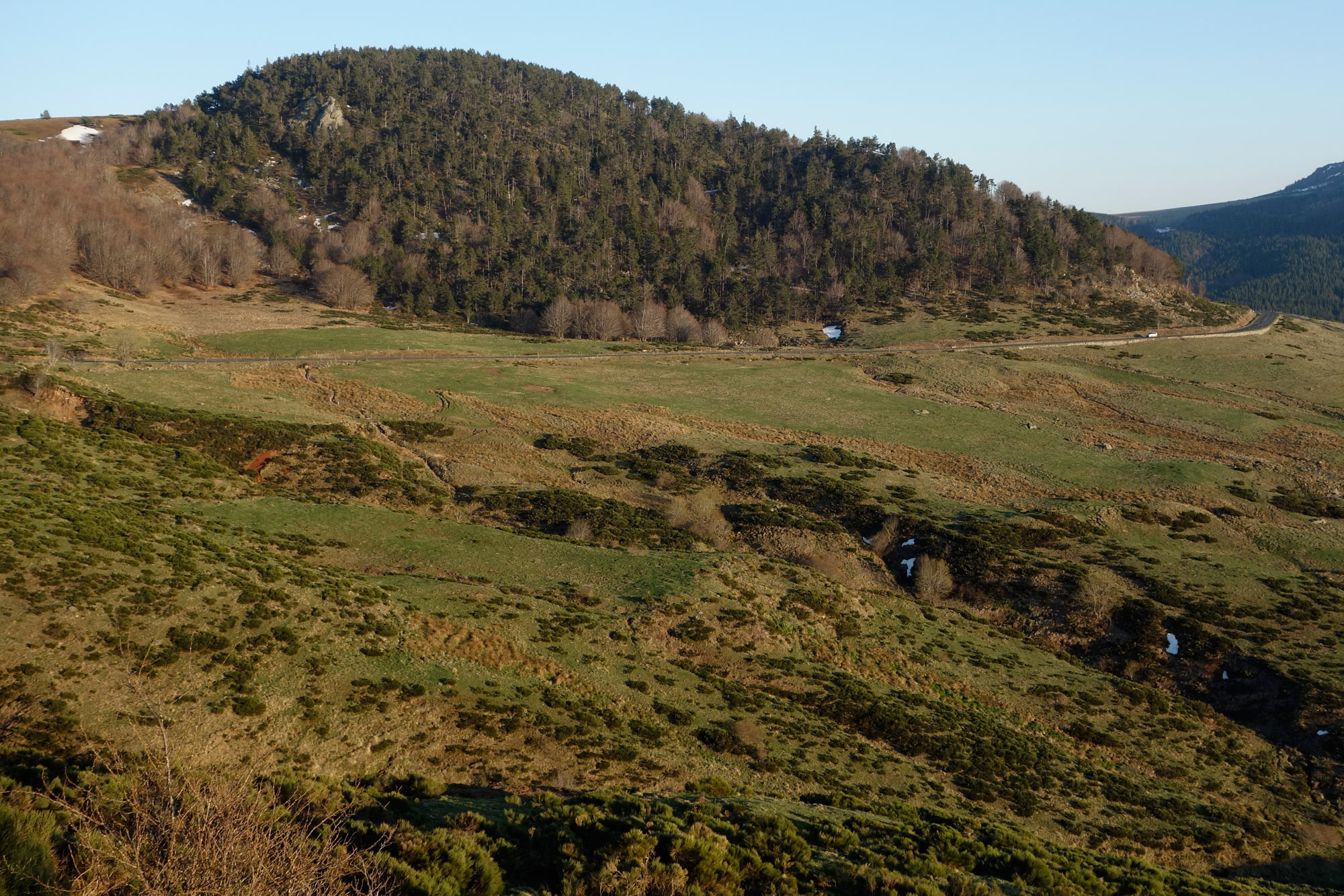 _DSC6026.jpg