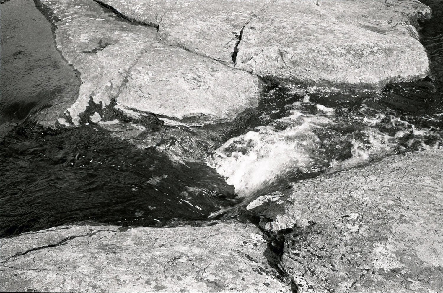 07-9946-16.jpg