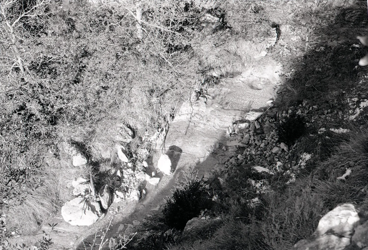 terre-9.jpg