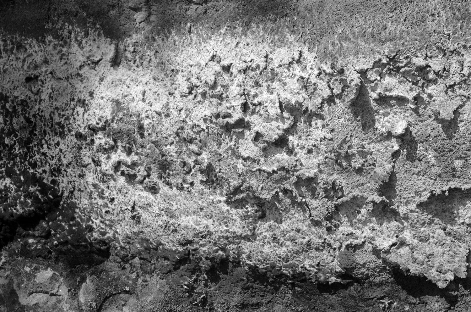 terre-1.jpg
