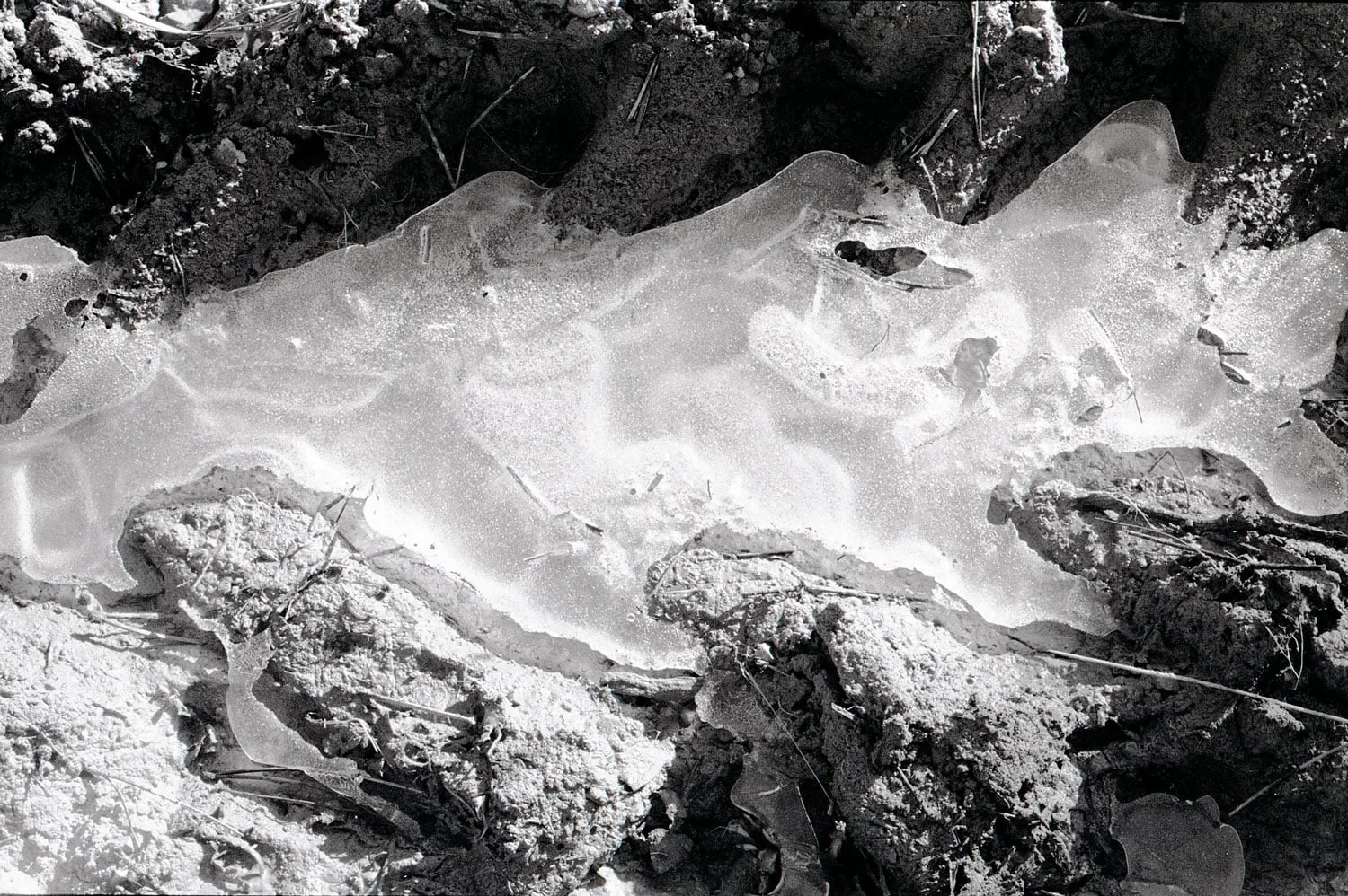 terre-8.jpg