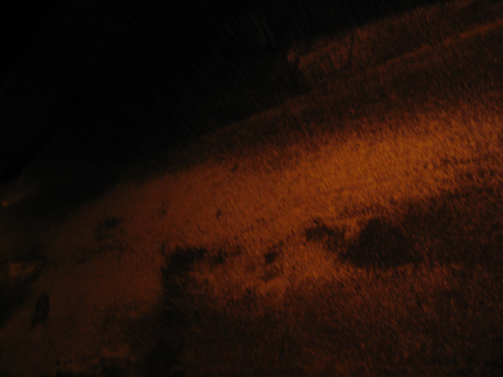 IMG_9455.jpg