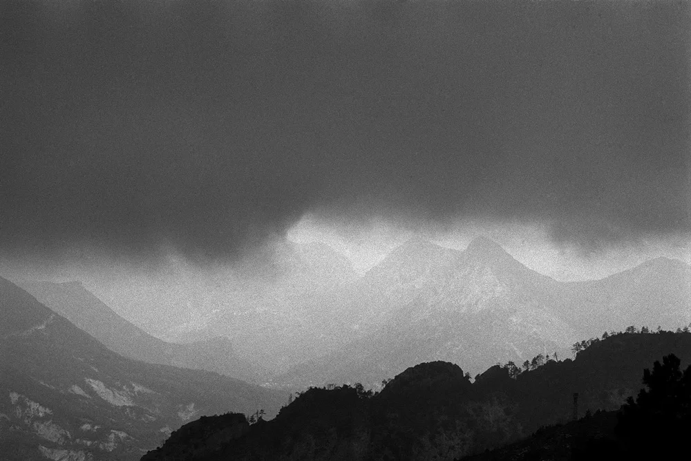 La Photo du Gris