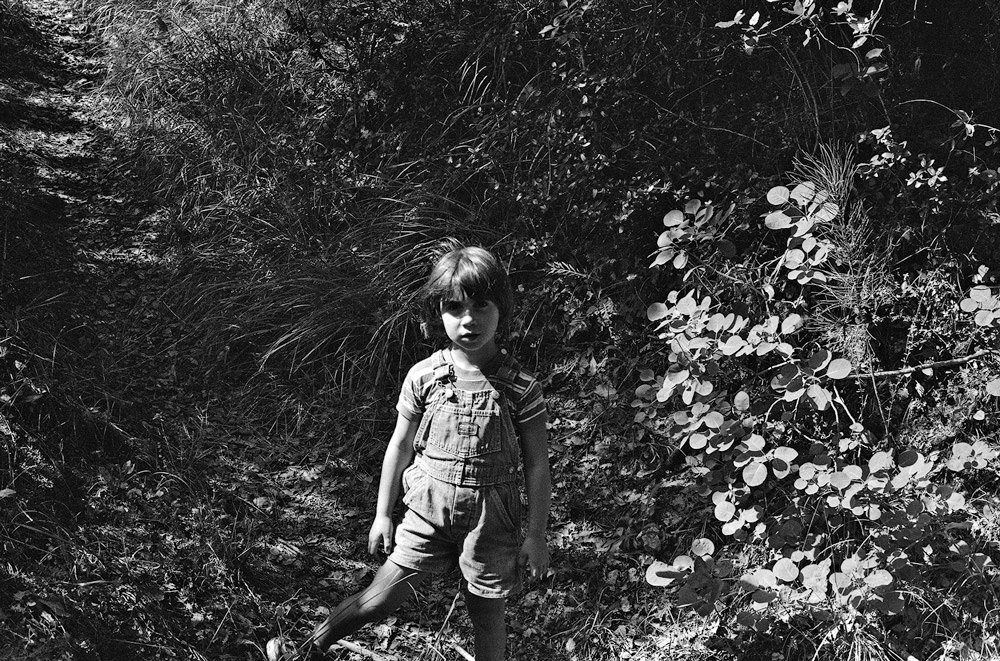 Je suis l'herbe fauchée