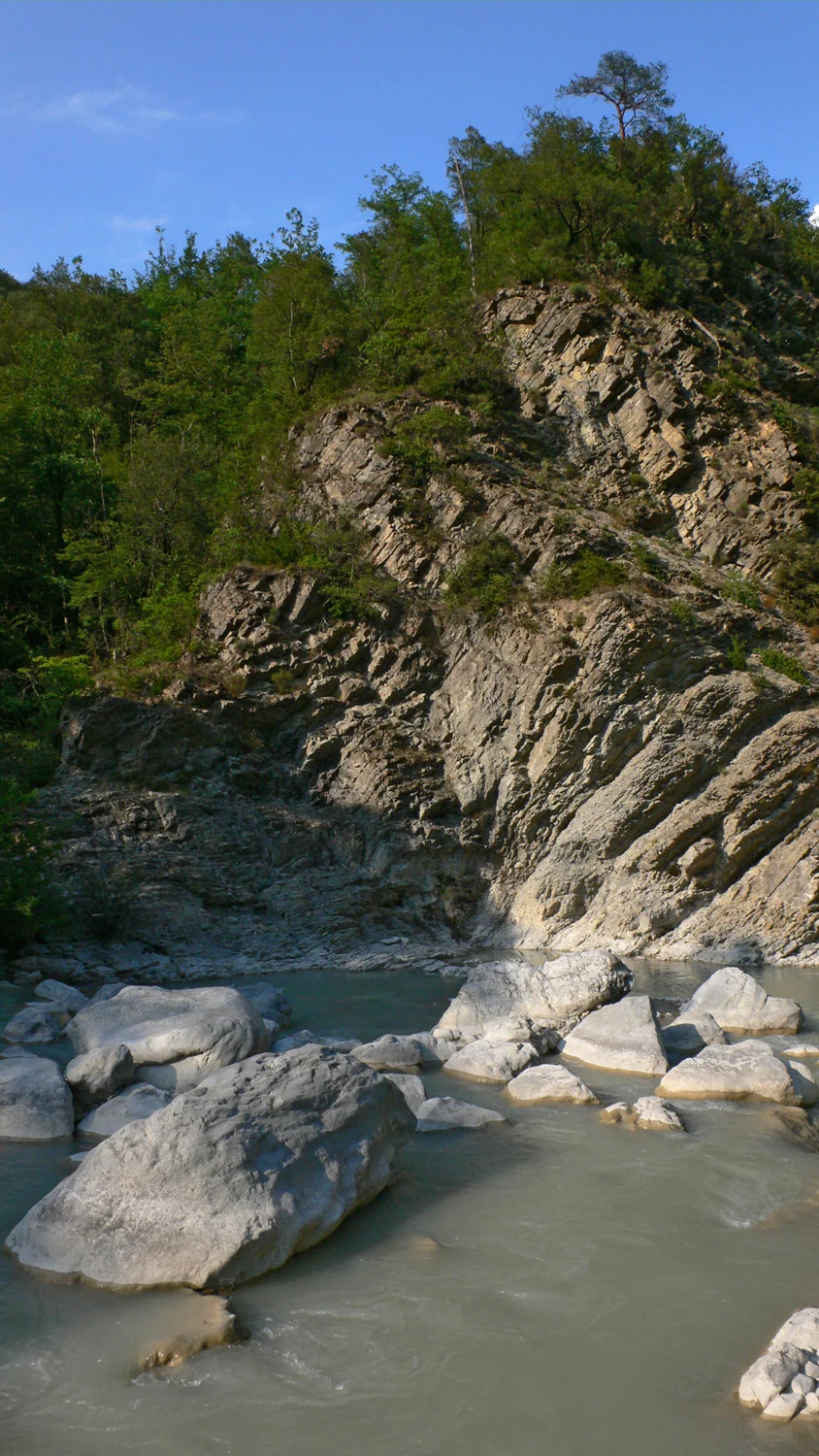 P1010413.jpg