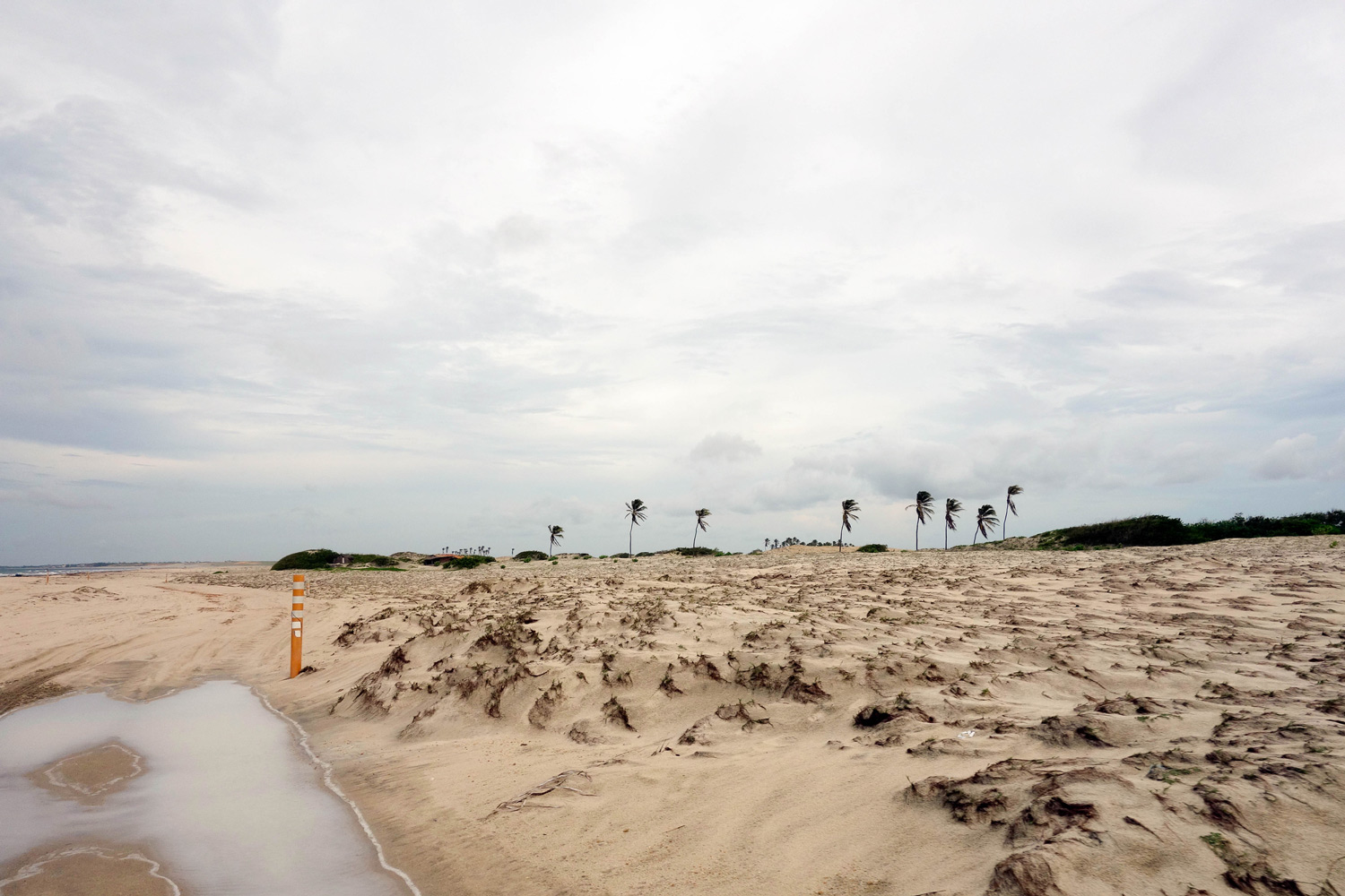 Plage du Nordeste    Brésil