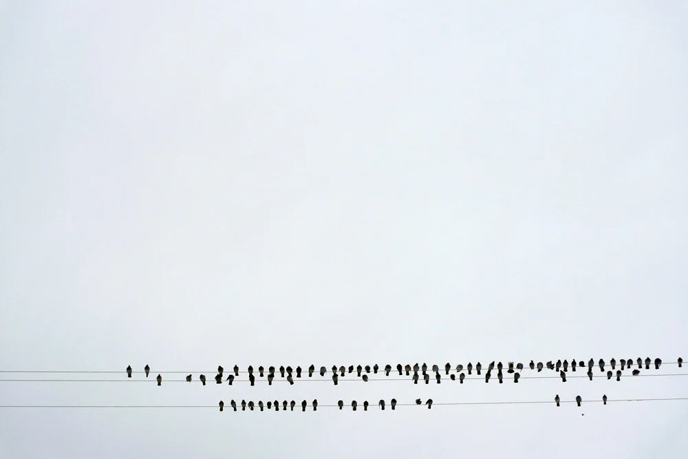 L1060453-2.jpg
