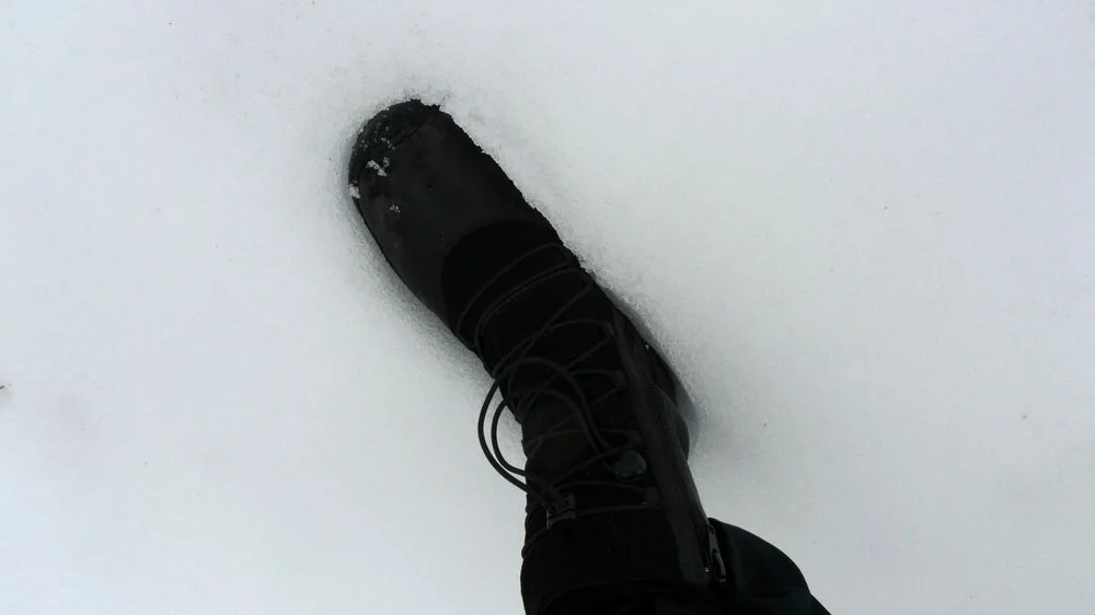 L1060933.jpg