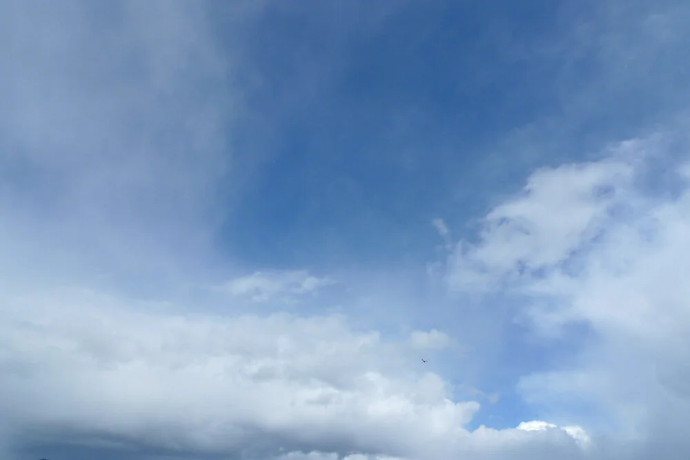 L10704431.jpg