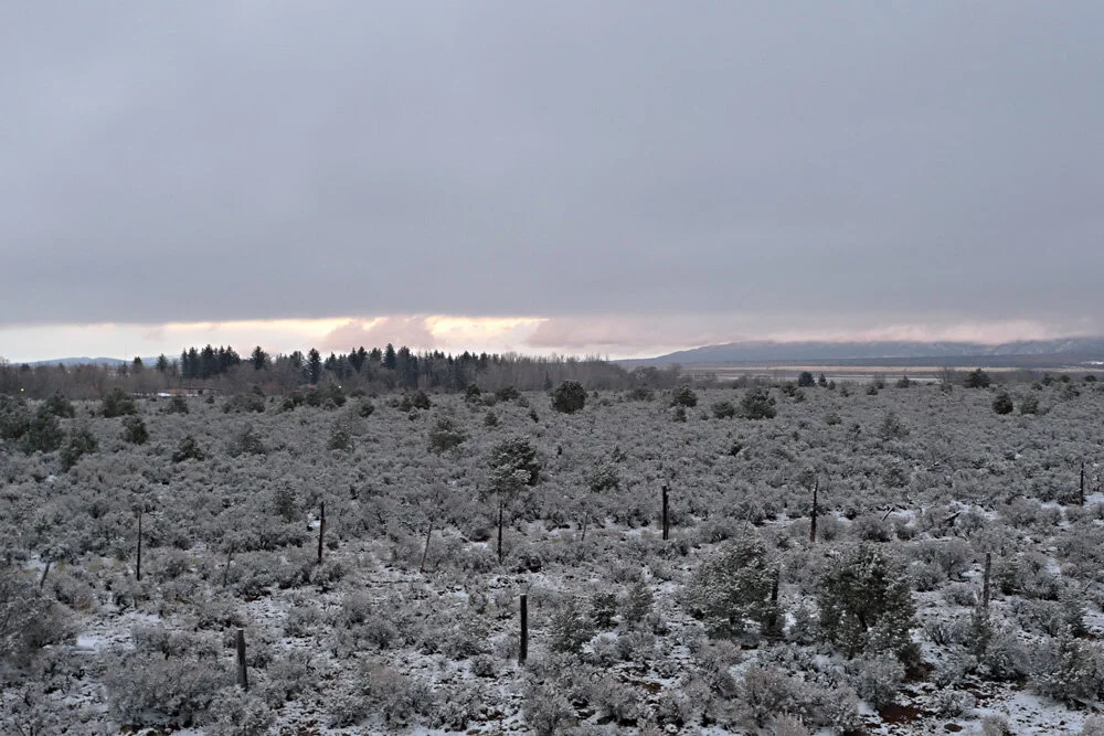 L1070472.jpg