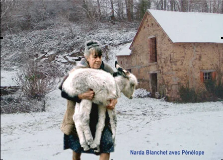narda.jpg
