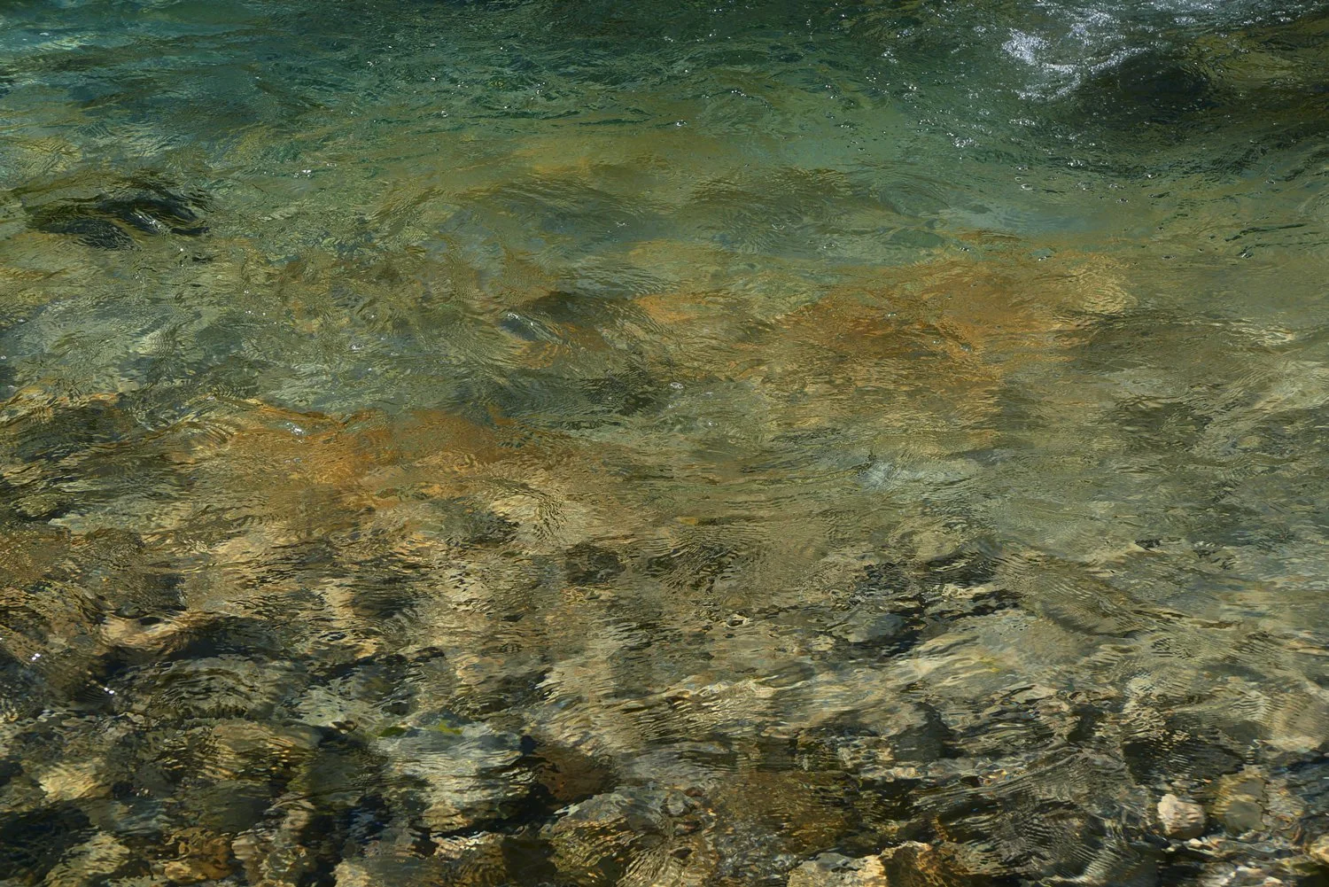 L1013730-w.jpg