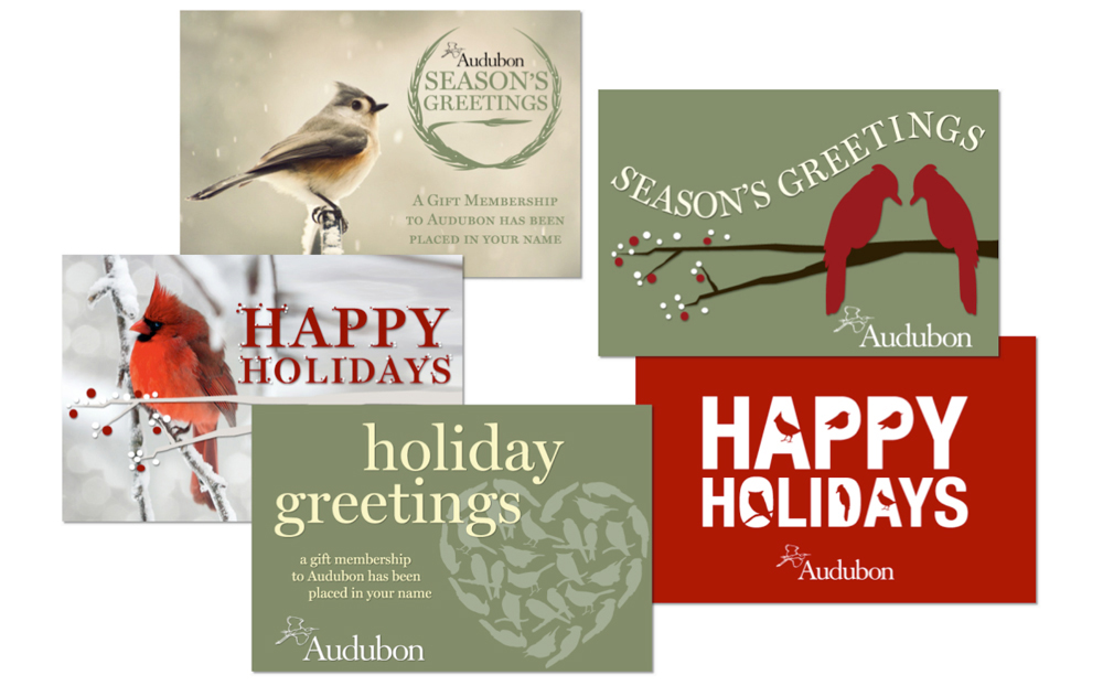 AudubonHolidayeCards.jpg