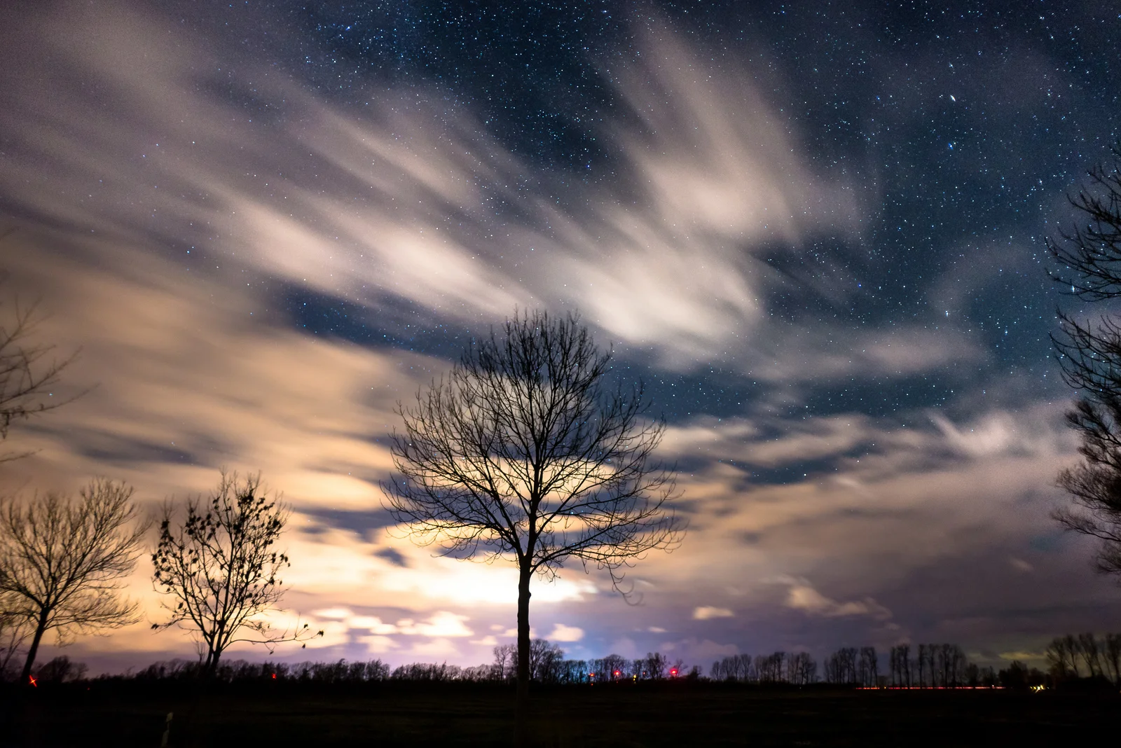 5 fun things to do with Flickr