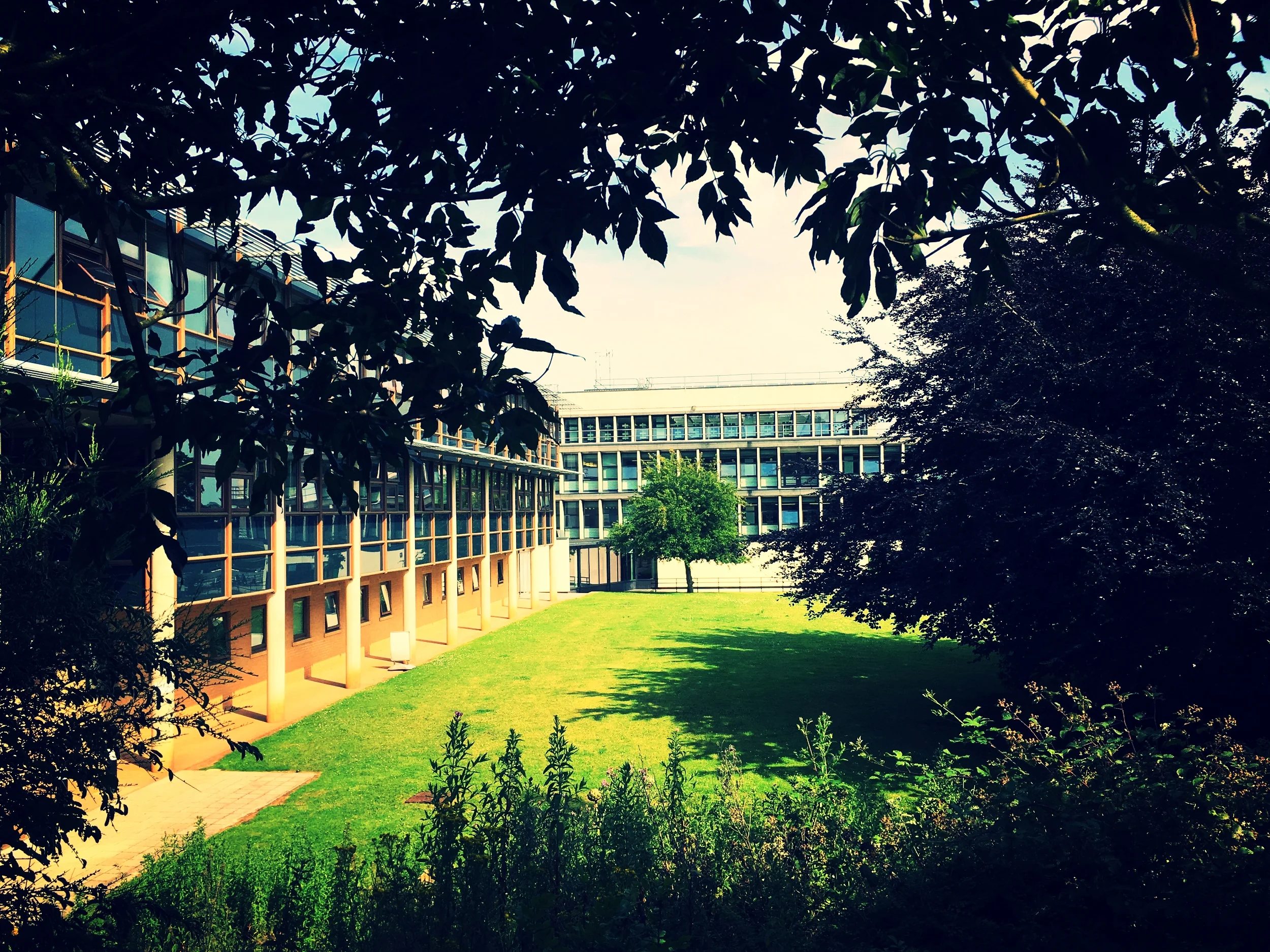 Sharing UX Findings: York's strategic approach 