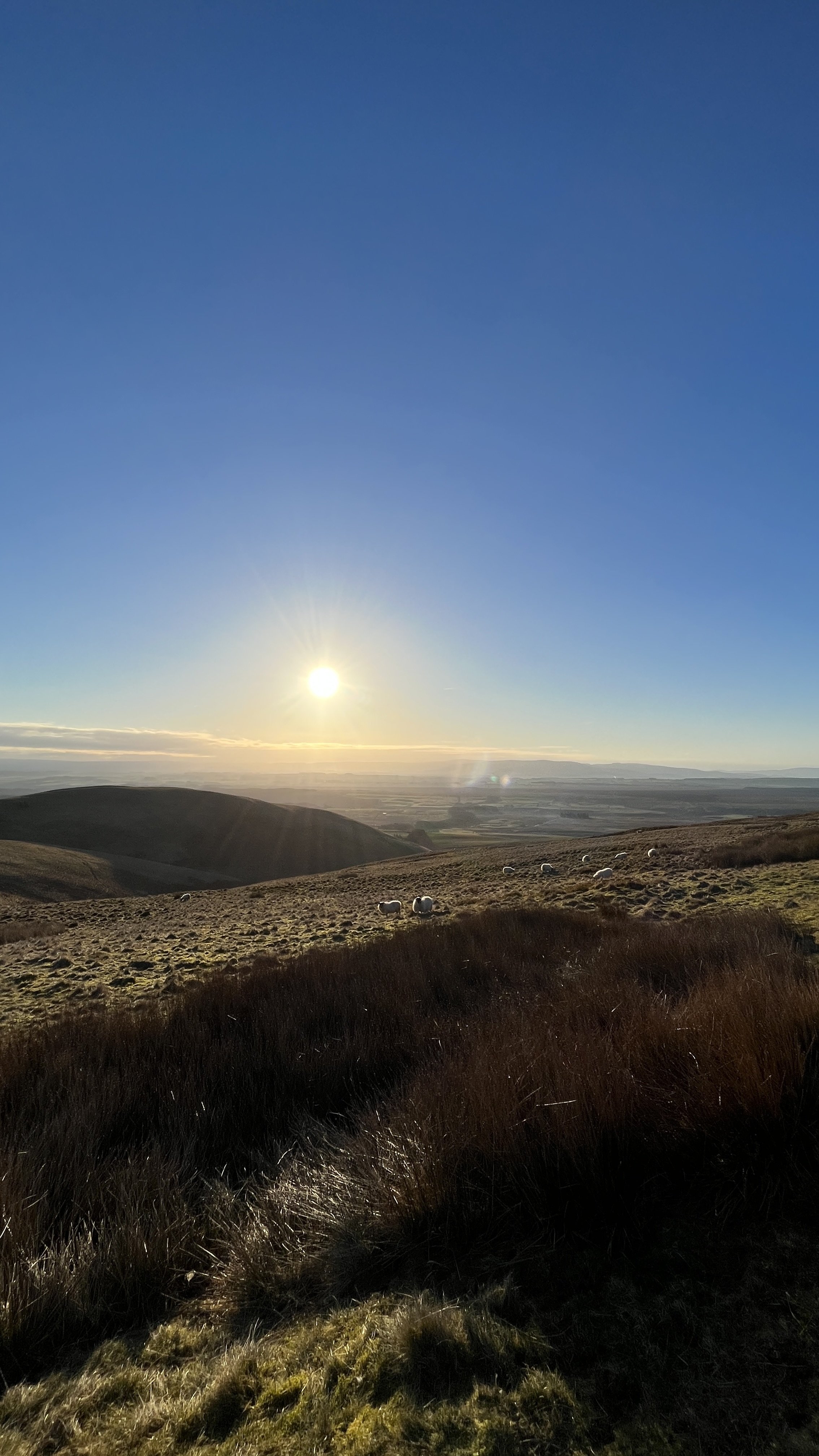 Bluesky is the one! 10 top tips for joining the growing social media