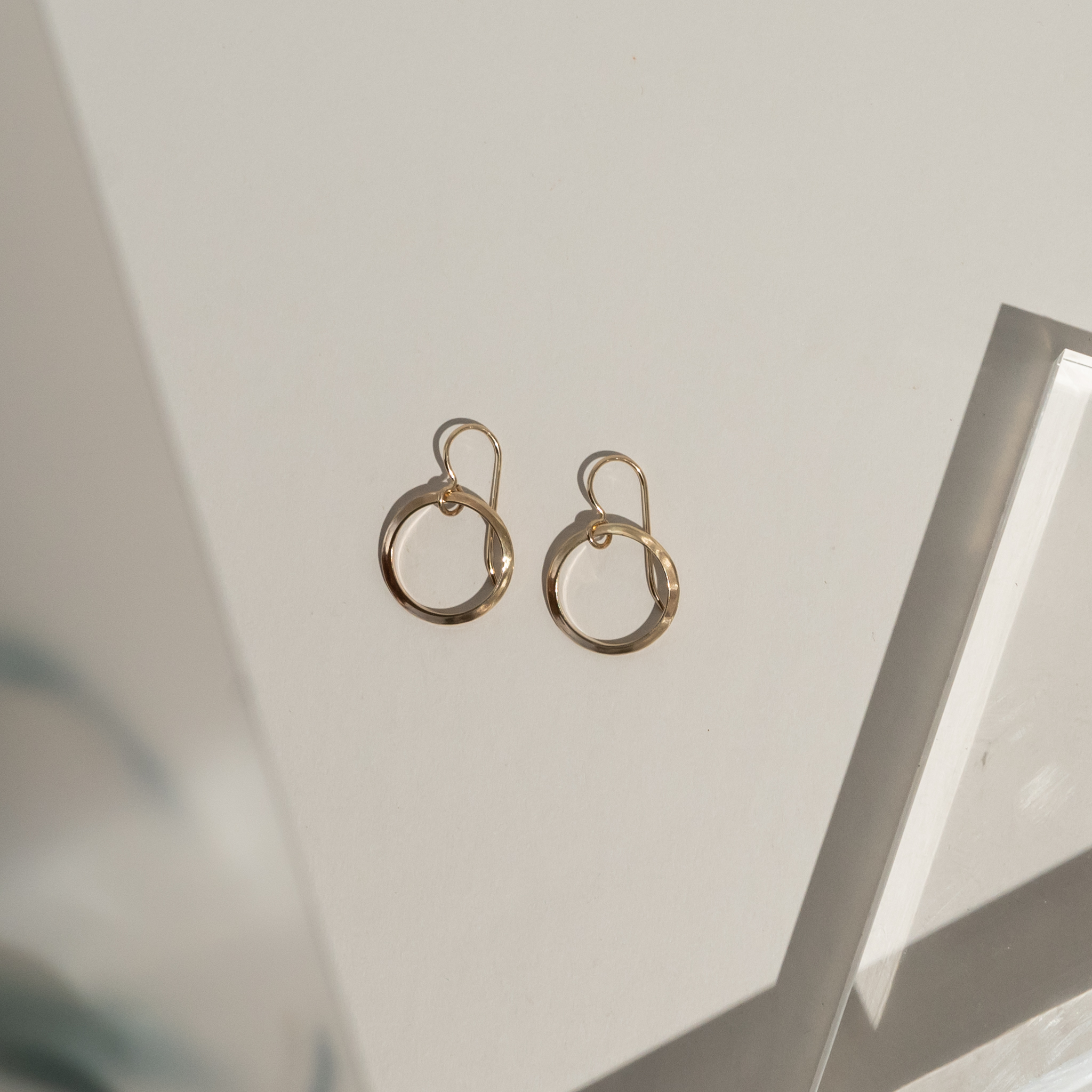 TashaRaeJewelryGoldCircleEarrings.jpg