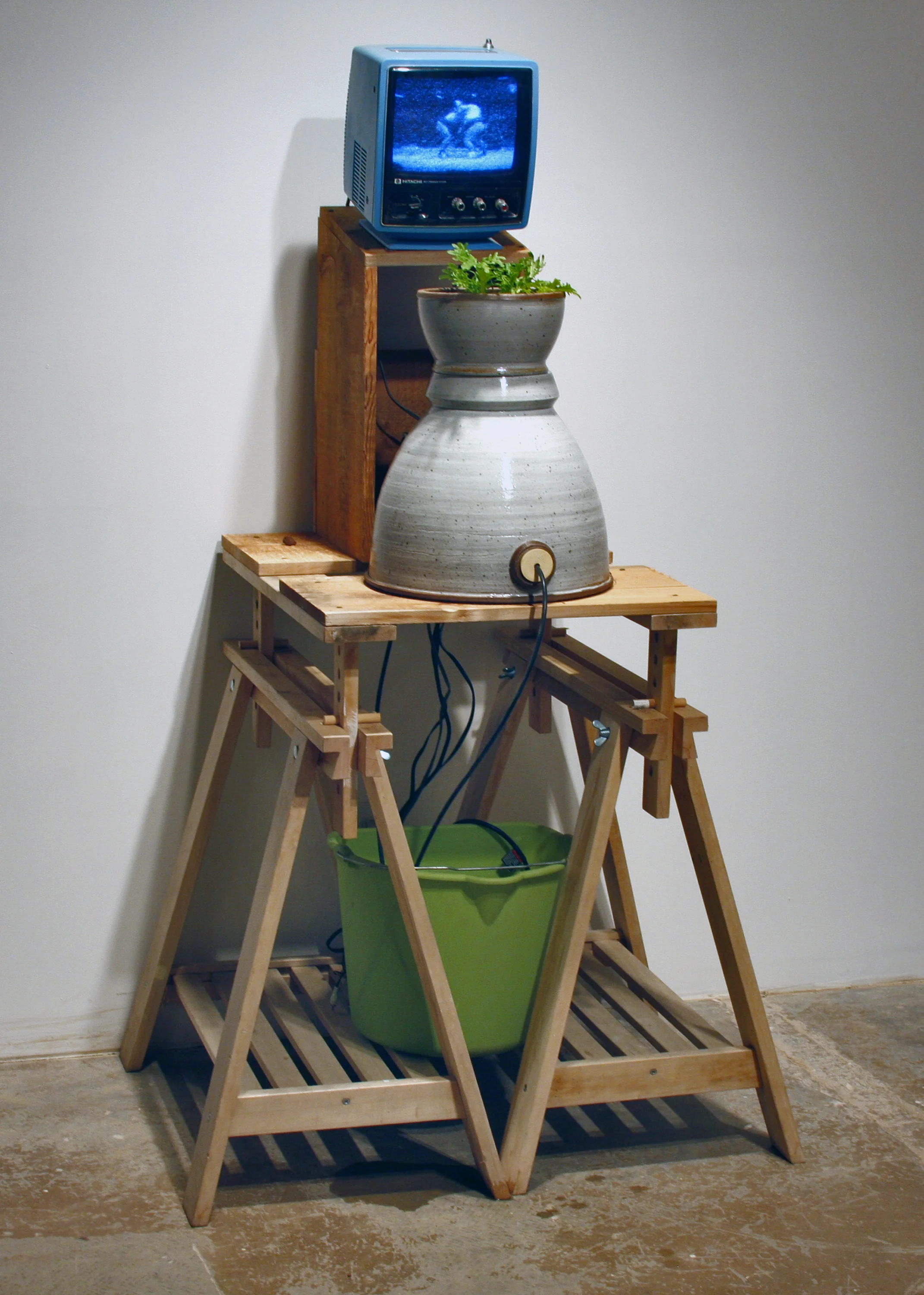 aquaponic portrait.jpg
