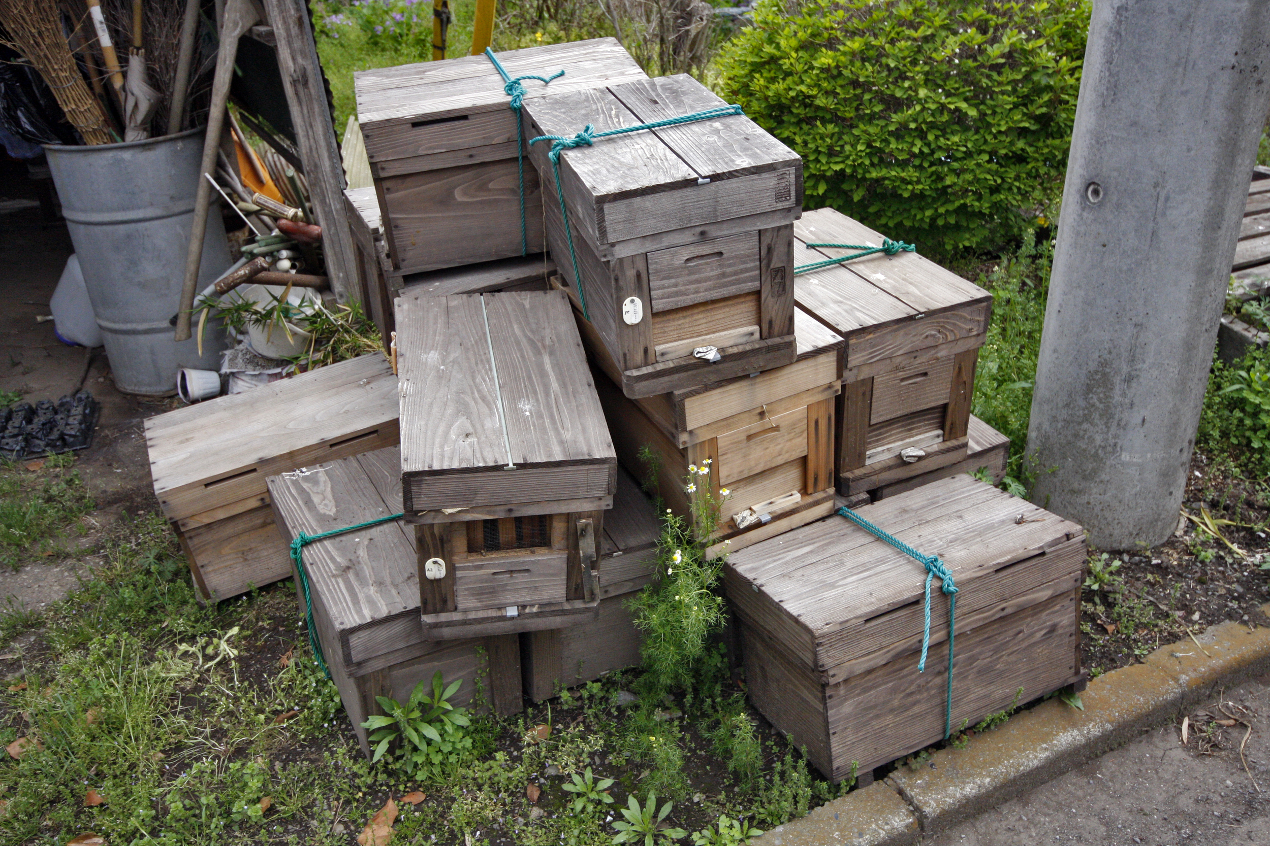 Japanese Bee Boxes.jpg