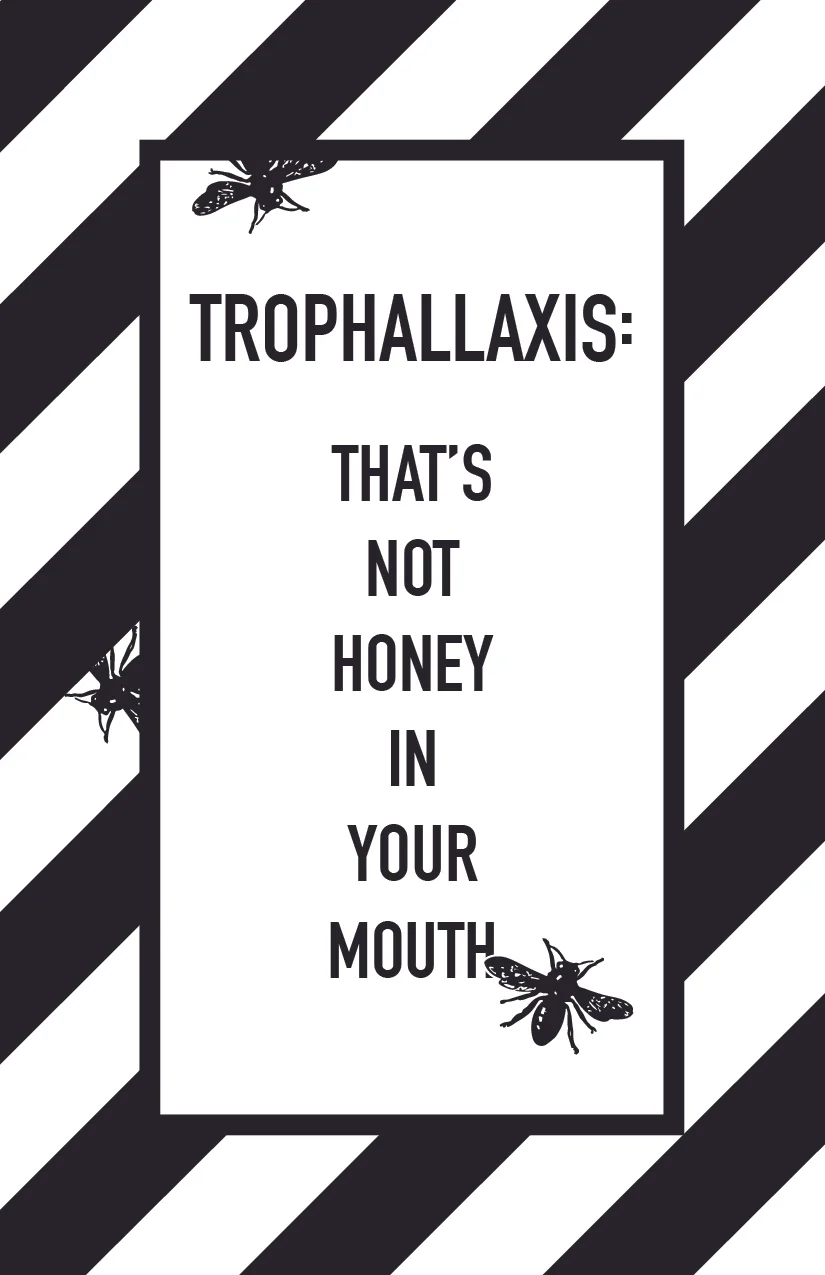 Trophallaxis Zine Cover