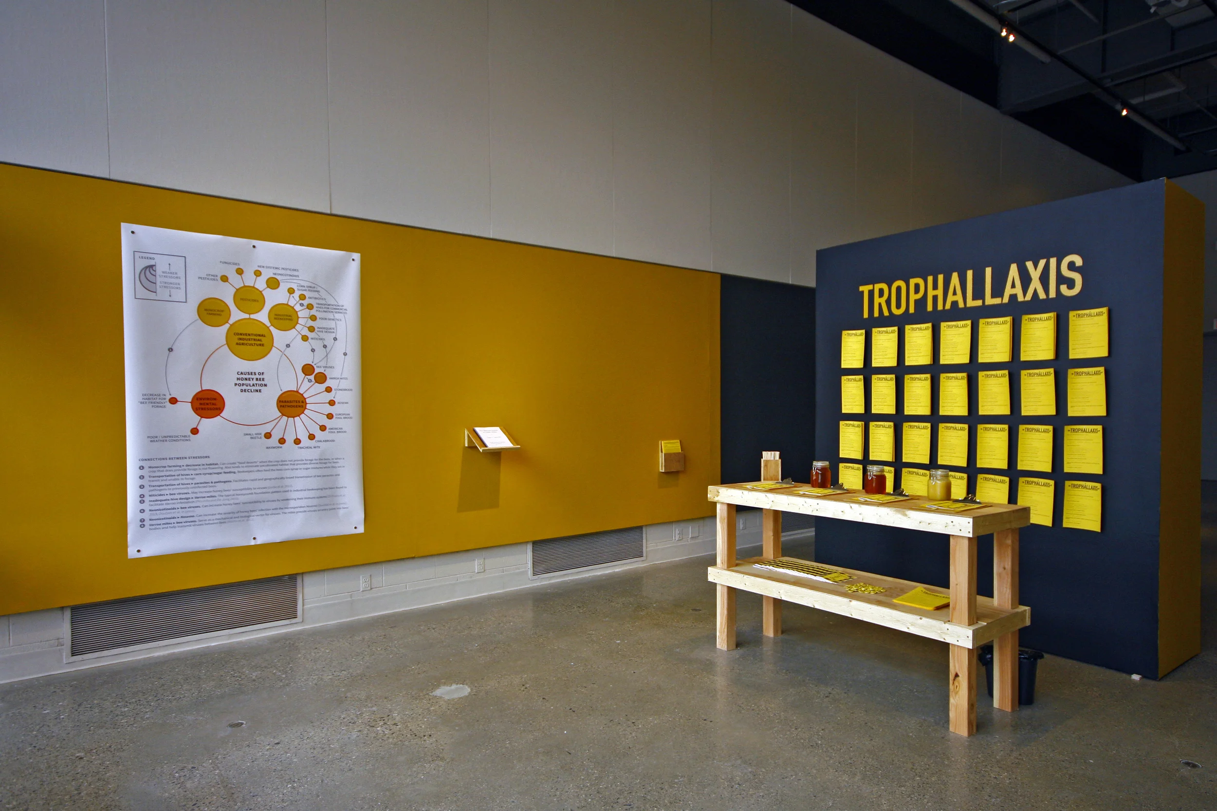 Hive_Overall_Social_Practice_Gallery.jpg