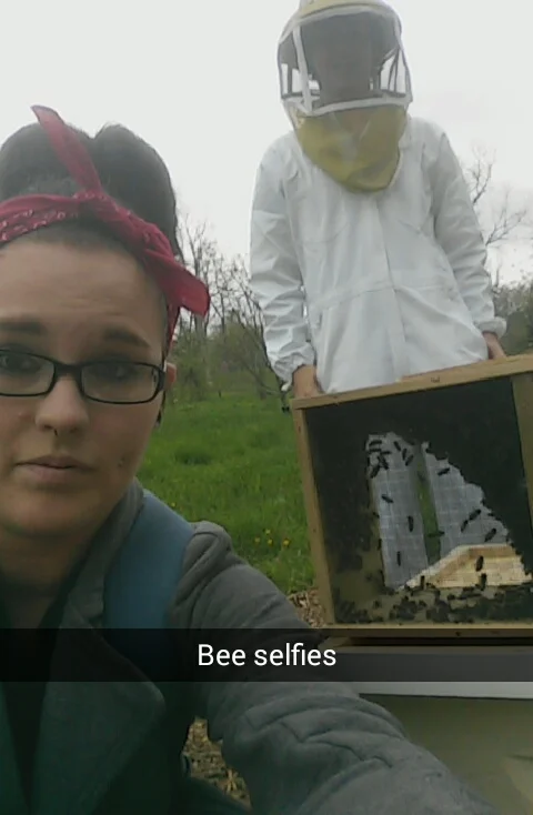 Bees being installed on campus.