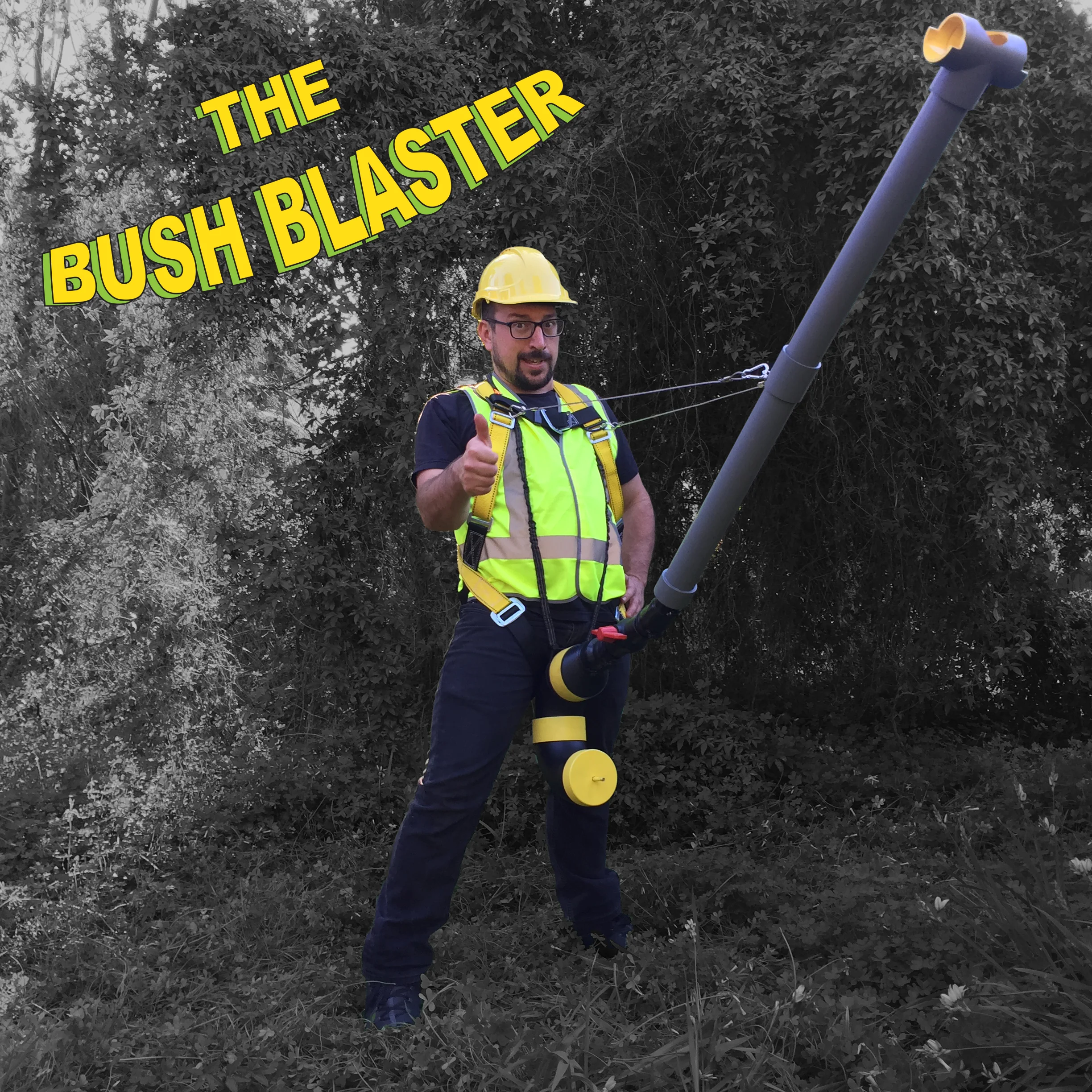 The Bush Blaster, 2017