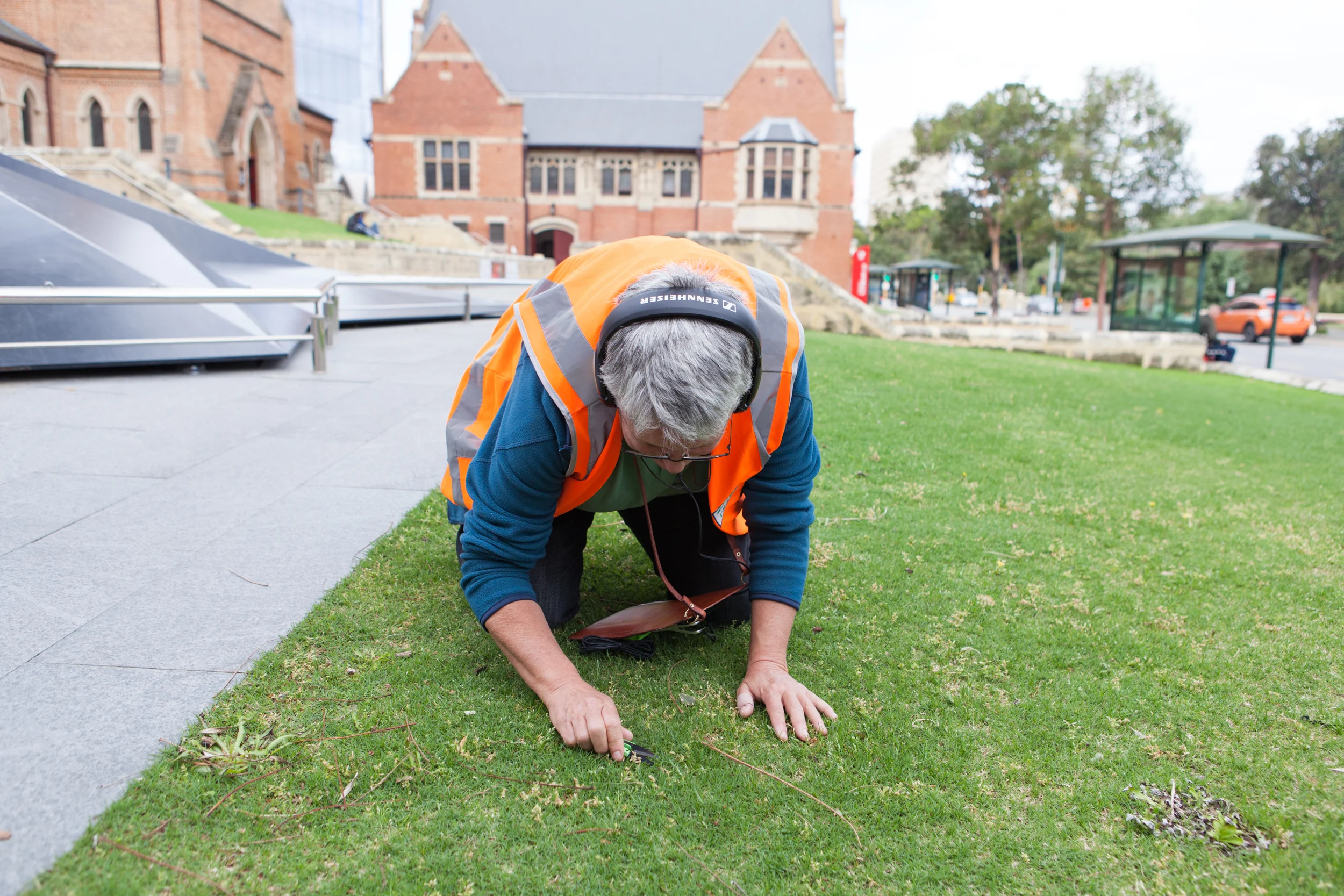 A participant leaning micro-aggressive forms of pruning.